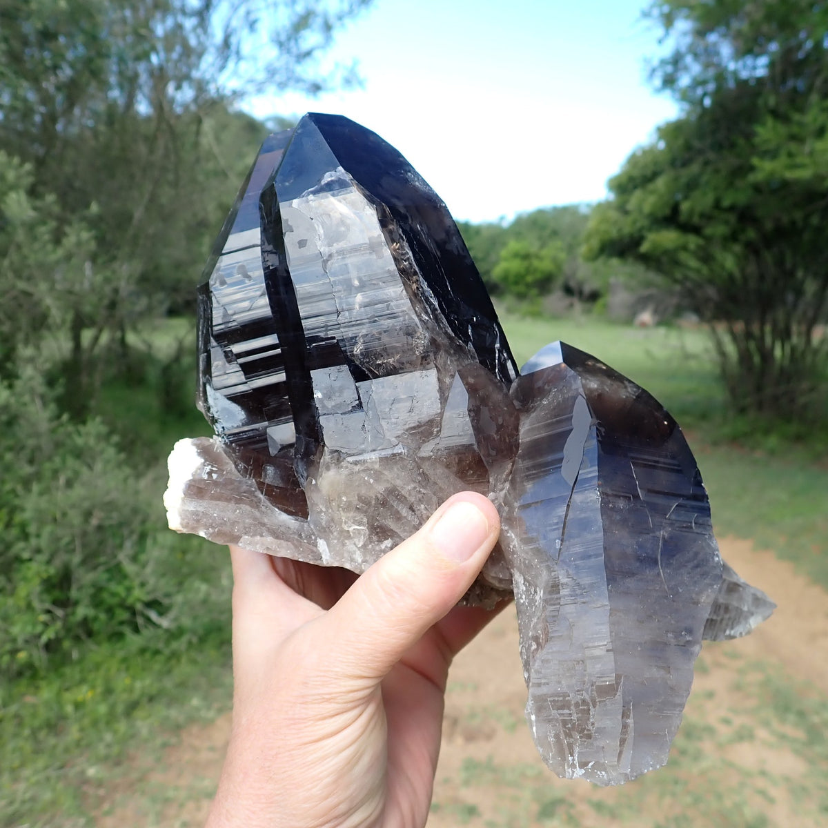 Smoky quartz cluster from Zomba, Malawi, tilted in hand to show dark terminations, translucent lower sections and pale material at the base.