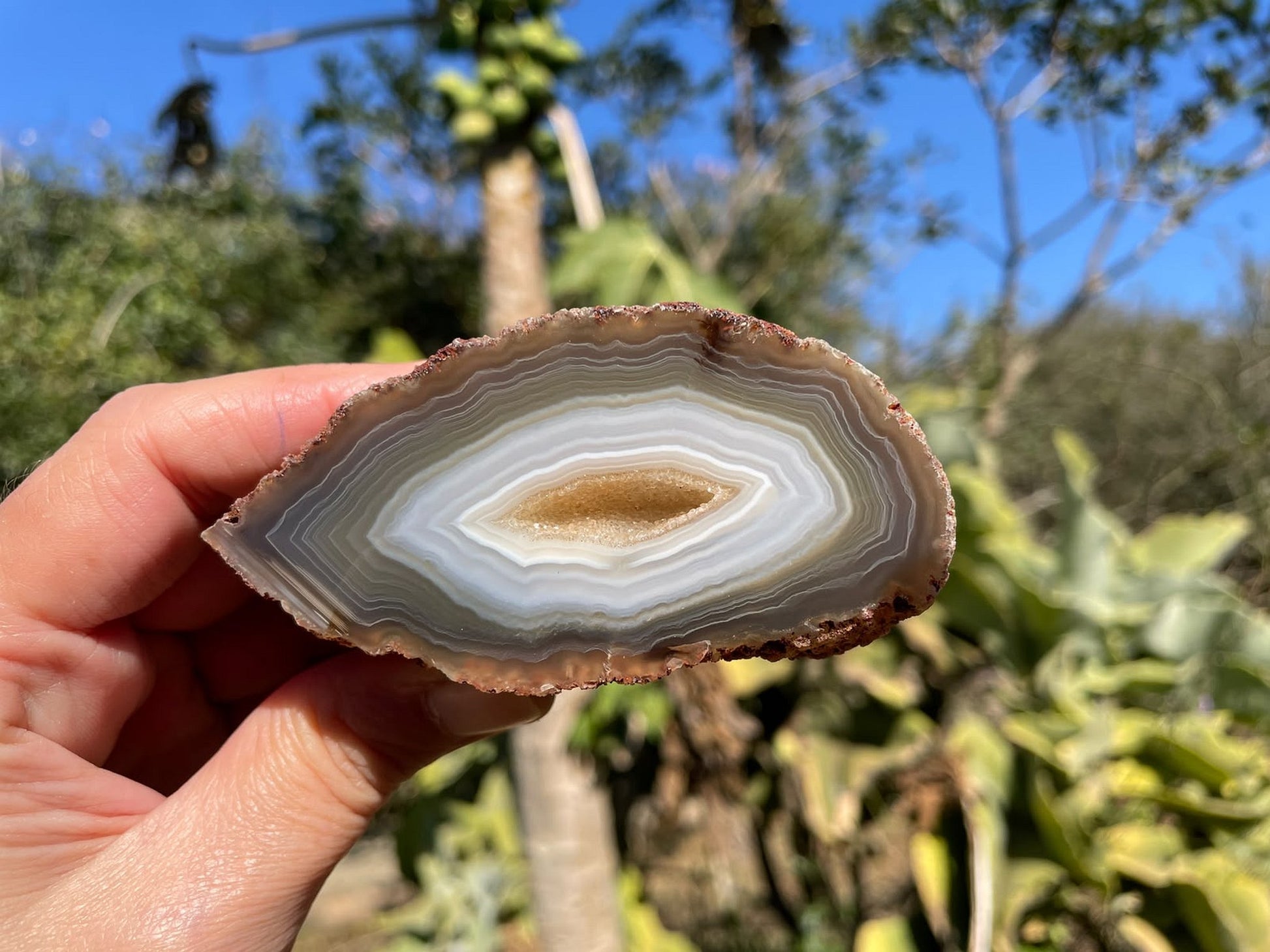 South African agate 87 mm – in-hand size reference, drusy vug, concentric banding, natural sunlight