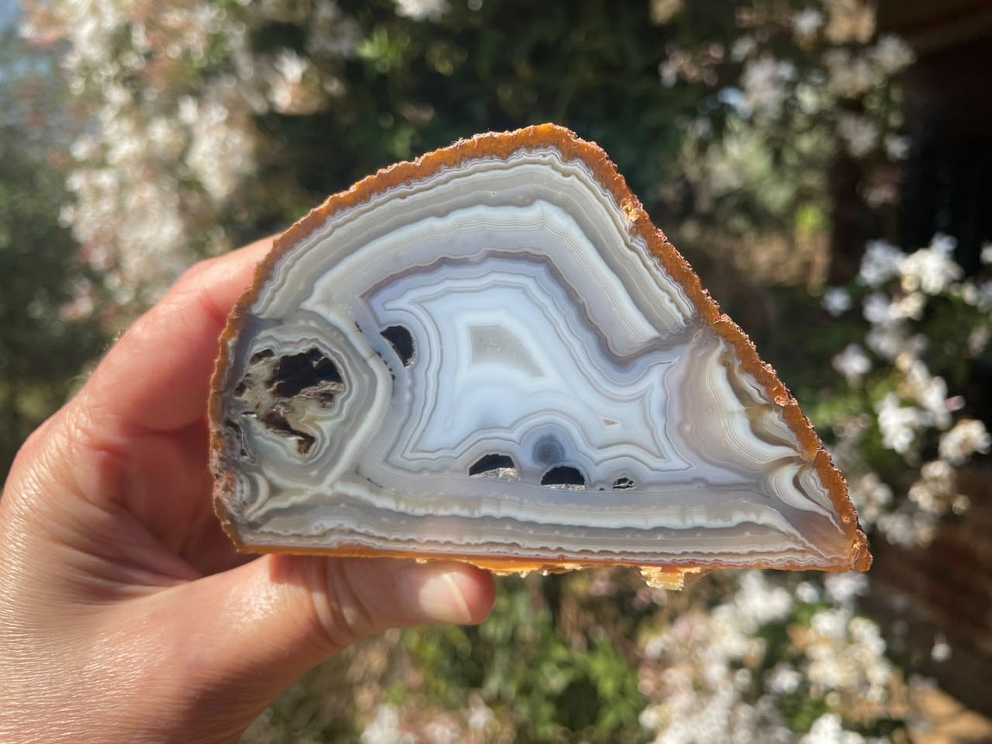 South African agate 102 mm – in-hand size reference, flow channels and perimorph inclusions visible