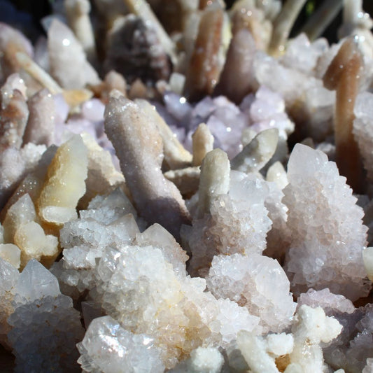 Wholesale white cactus quartz South Africa – close-up showing elongated cactus quartz fingers with heavy drusy coating, cream to white tones, healed crystal formations visible | SKU SPQW