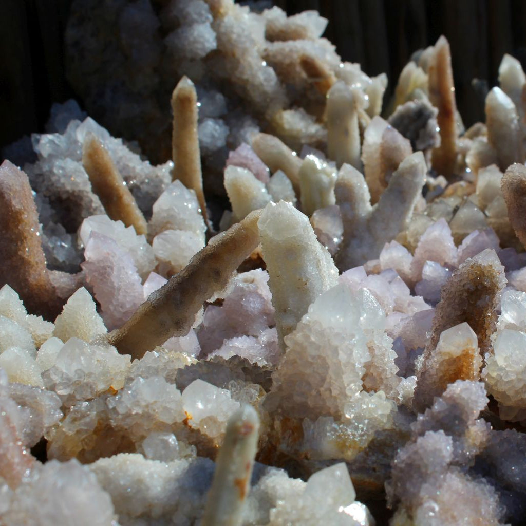 Wholesale white cactus quartz South Africa – close-up of elongated cactus quartz fingers with dense drusy terminations, soft lilac and white tones, bent and healed formations visible | SKU SPQW