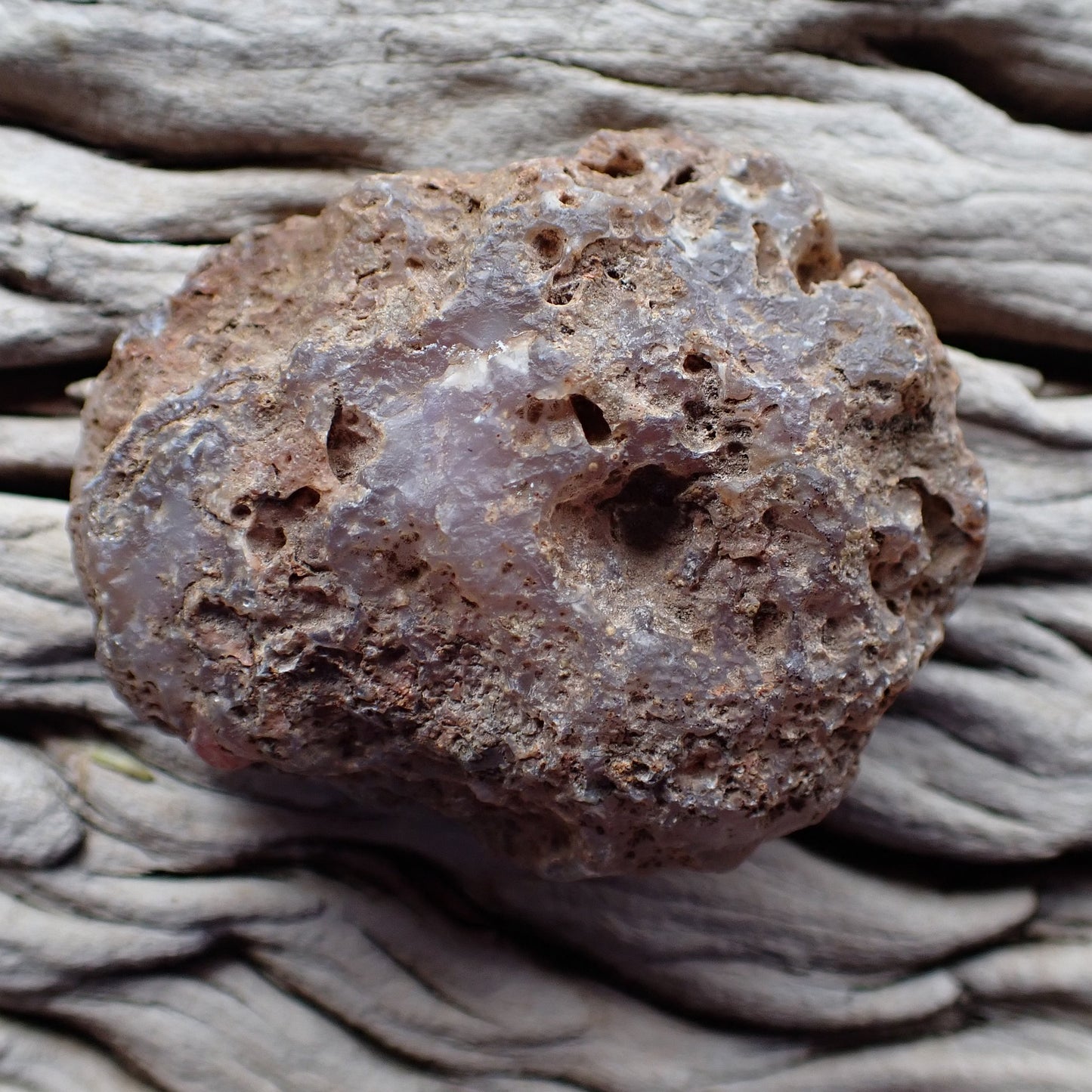 Unpolished rough side of Malawi agate showing natural texture
