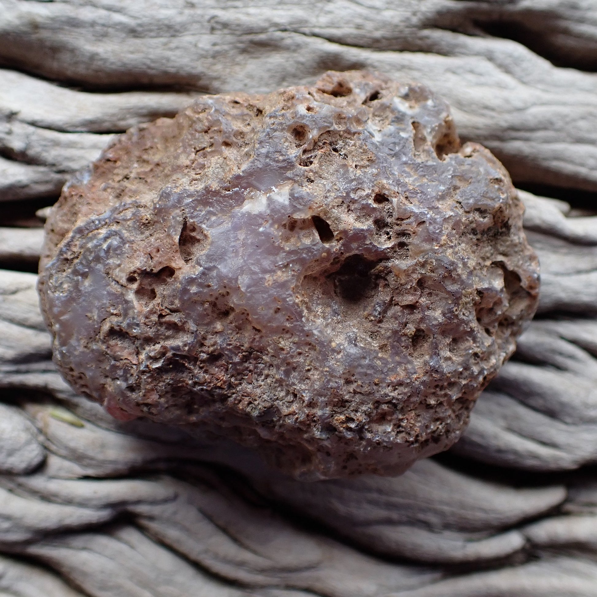 Unpolished rough side of Malawi agate showing natural texture