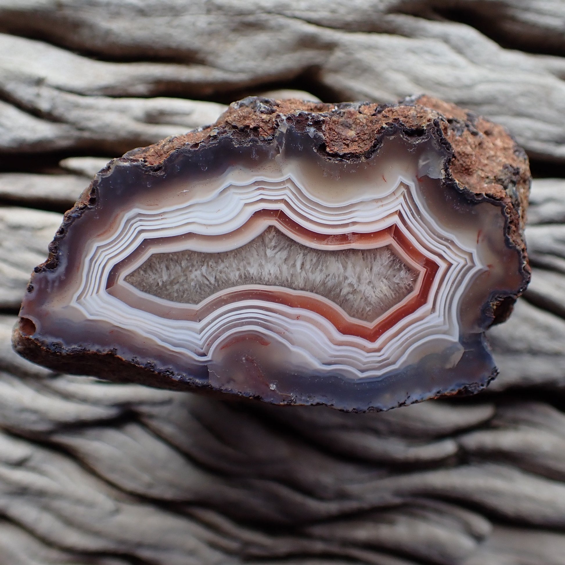 Natural hand-polished Malawi agate 67 mm – full specimen, tight multi-layered fortification banding with sard-carnelian accent and blue-grey chalcedony border, Ngabu deposit | SKU 000330