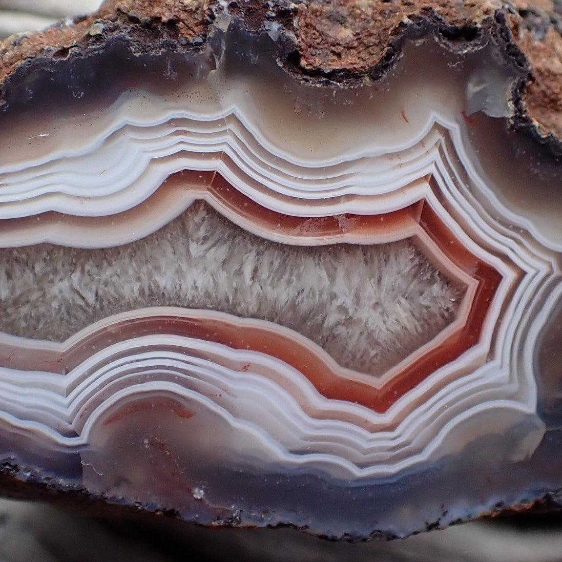 Close-up of Malawi agate 67 mm – tight fortification banding detail, sard-carnelian accent band, scalloped inner band edges and parallax effect | SKU 000330