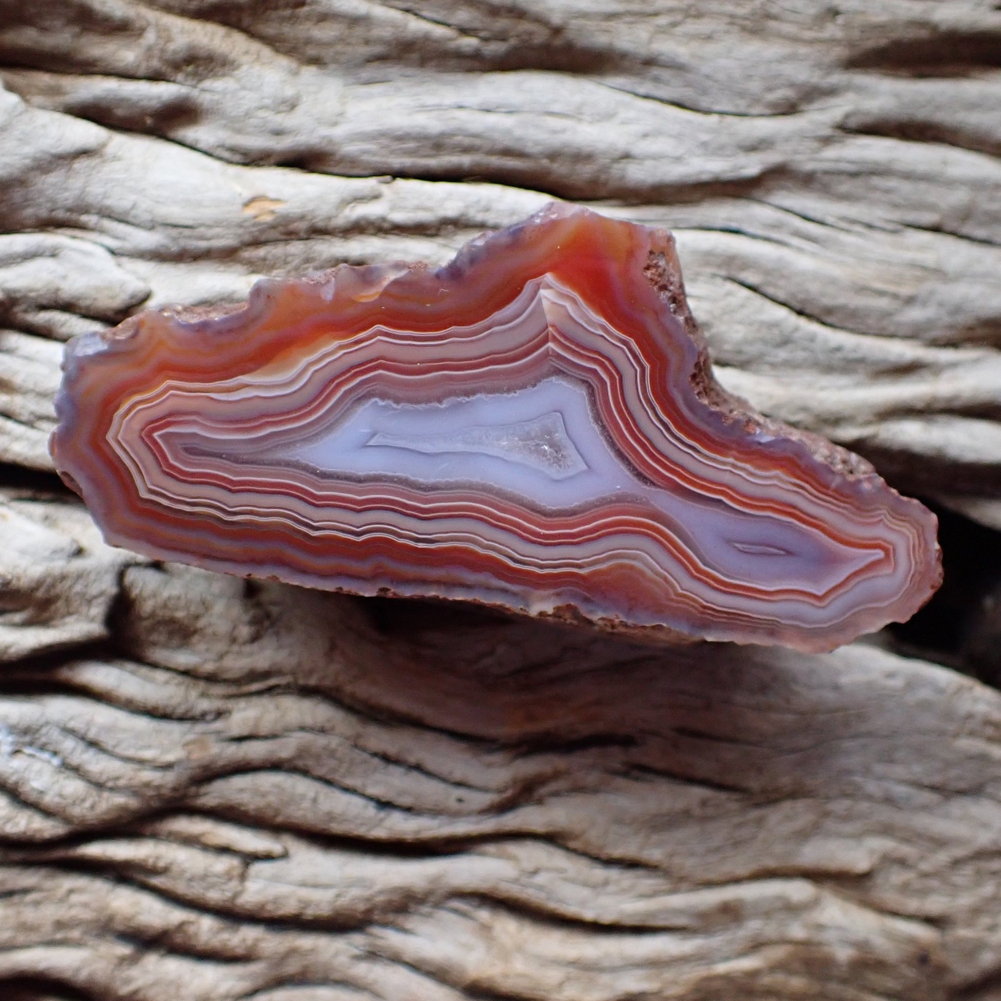 Polished Malawi agate from Ngabu region with double crystalline chamber and stunning banding
