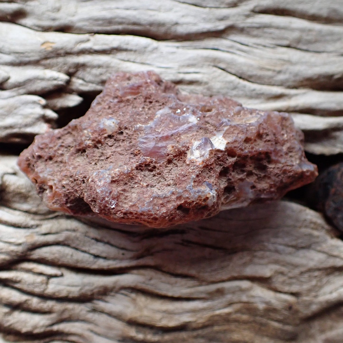 Unpolished rough side of Malawi agate showing natural texture