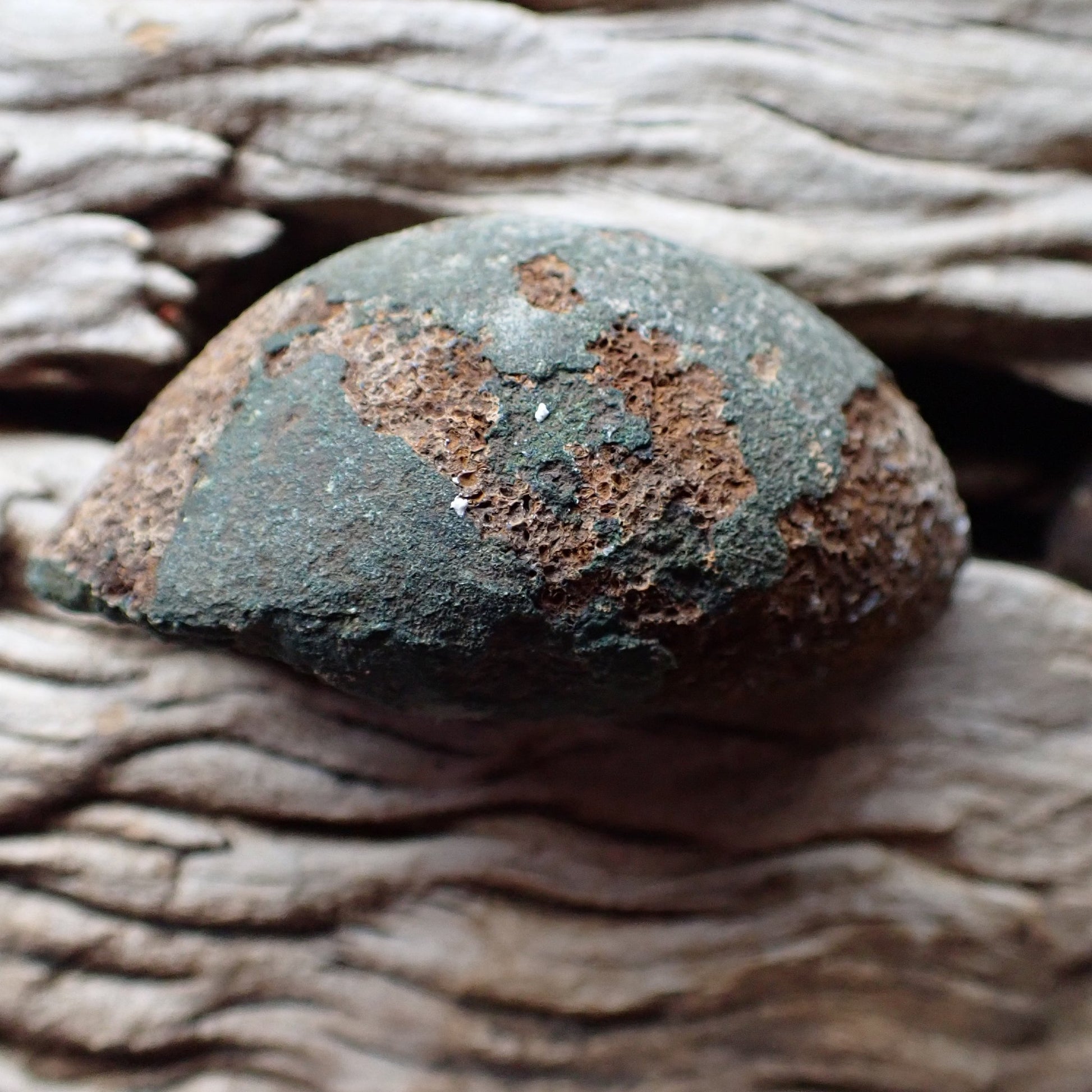 Back of Malawi agate 69 mm – distinctive teal-green natural rind, Ngabu deposit, hand-polished in South Africa | SKU 000338