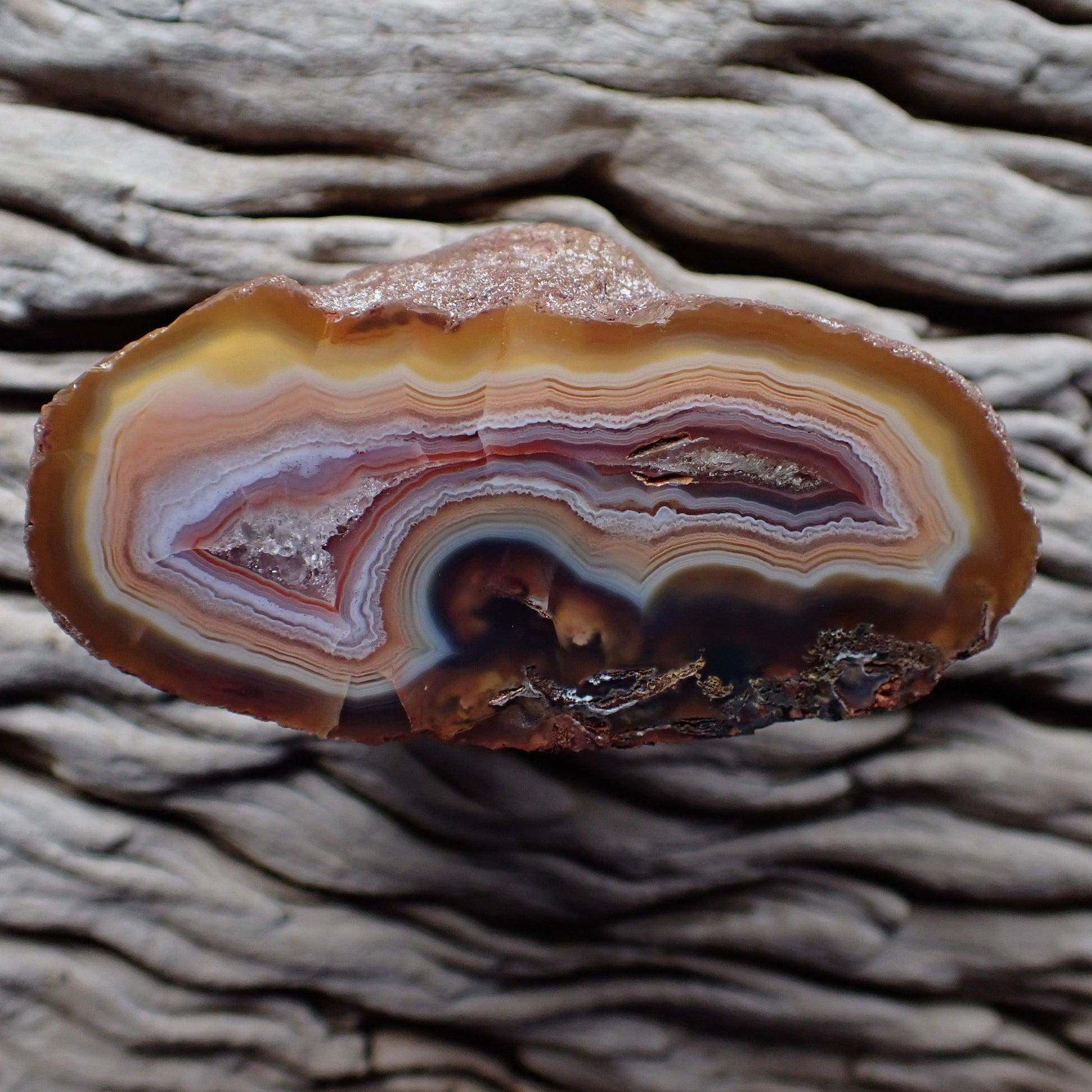 Scalloped banding Malawi agate 69mm – full polished face, amber, cream and lavender palette, scalloped banding and crazy lace | SKU 000339