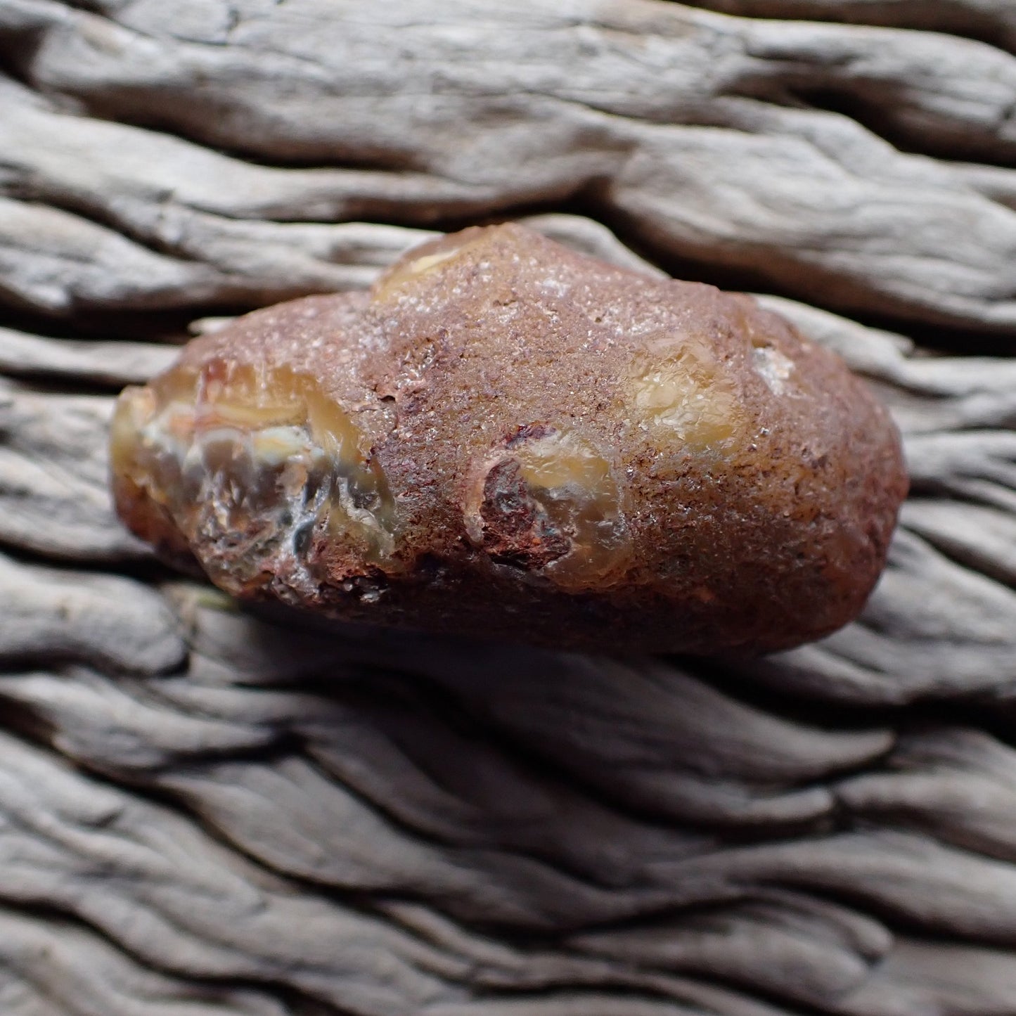 Unpolished rough side of Malawi agate showing natural texture