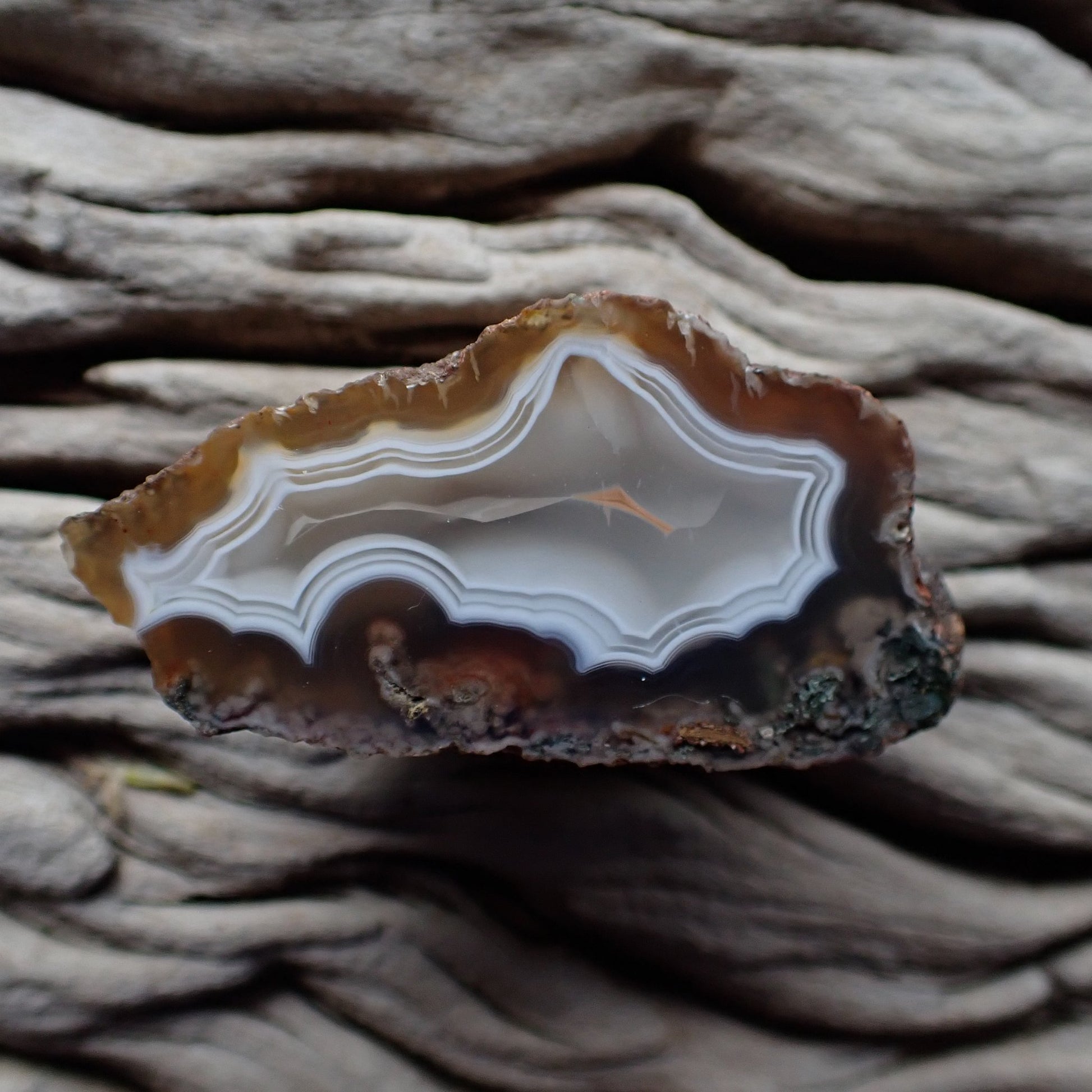 Ghost banding Malawi agate 50mm – full polished face, white chalcedony and amber palette, ghost banding and scalloped banding | SKU 000340