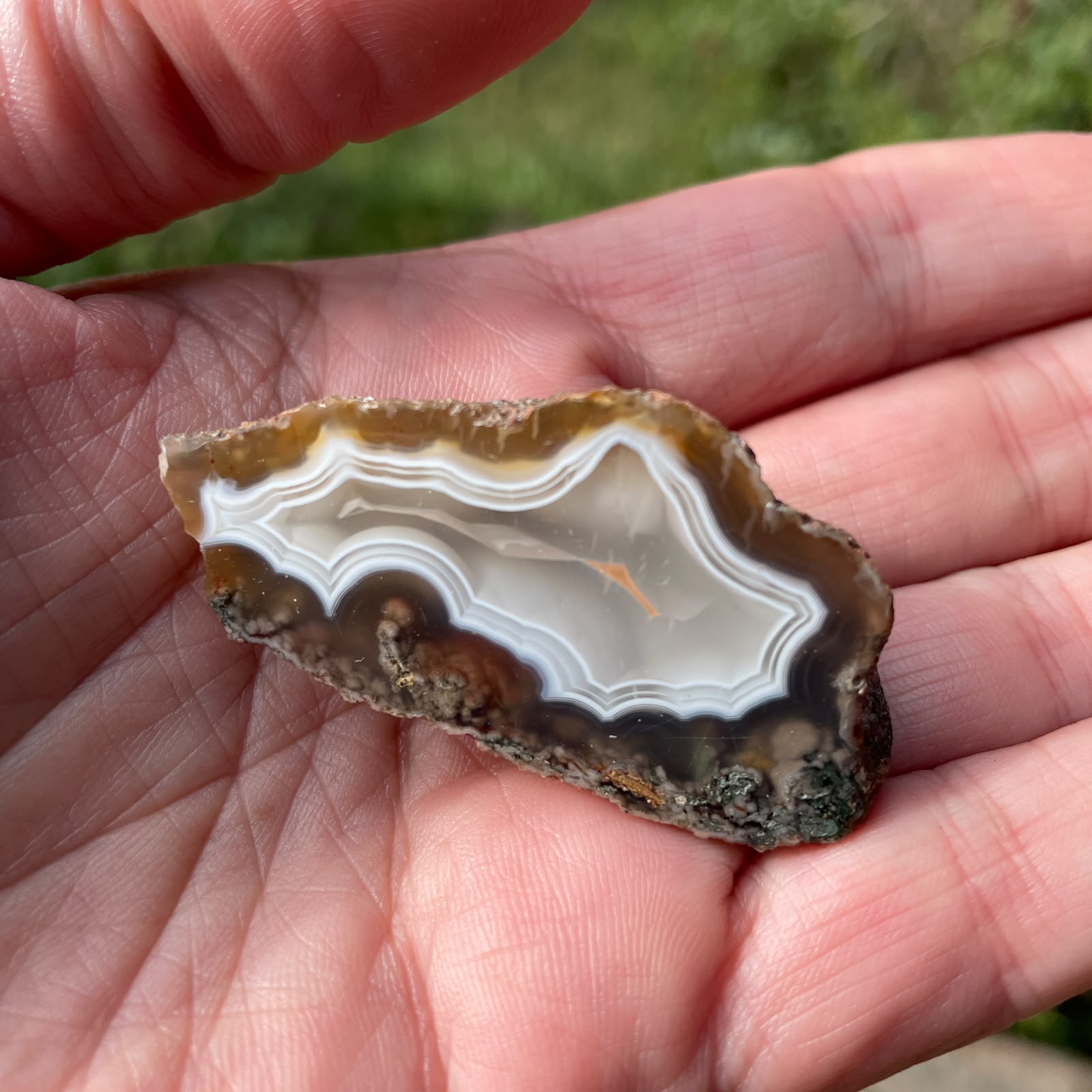 Ghost banding Malawi agate 50mm – in-hand size reference, white chalcedony and amber tones, ghost banding and scalloped banding | SKU 000340