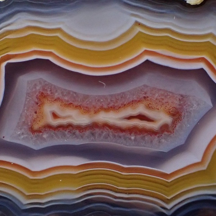 Close-up of Malawi agate 37 mm – rectangular banded floater suspended in lavender inner zone, scalloped band edges, golden-yellow and orange banding detail | SKU 000341