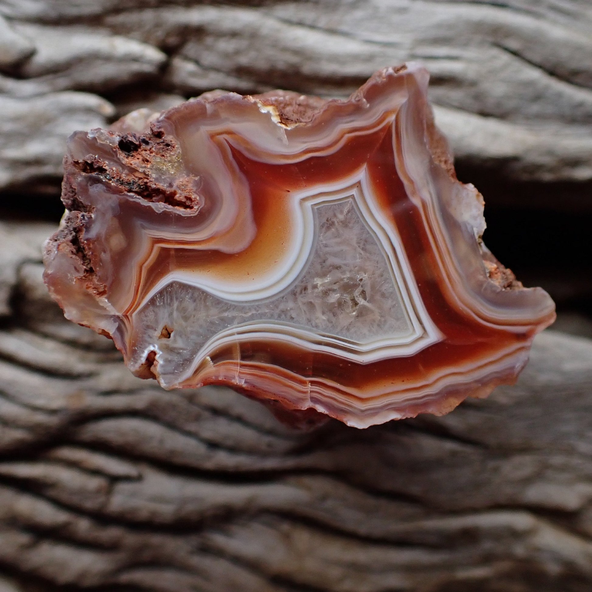 Natural hand-polished Malawi agate 46 mm – full specimen, deep sard-red to burgundy banding with star-form inner zone and flow channel, Ngabu deposit | SKU 000343