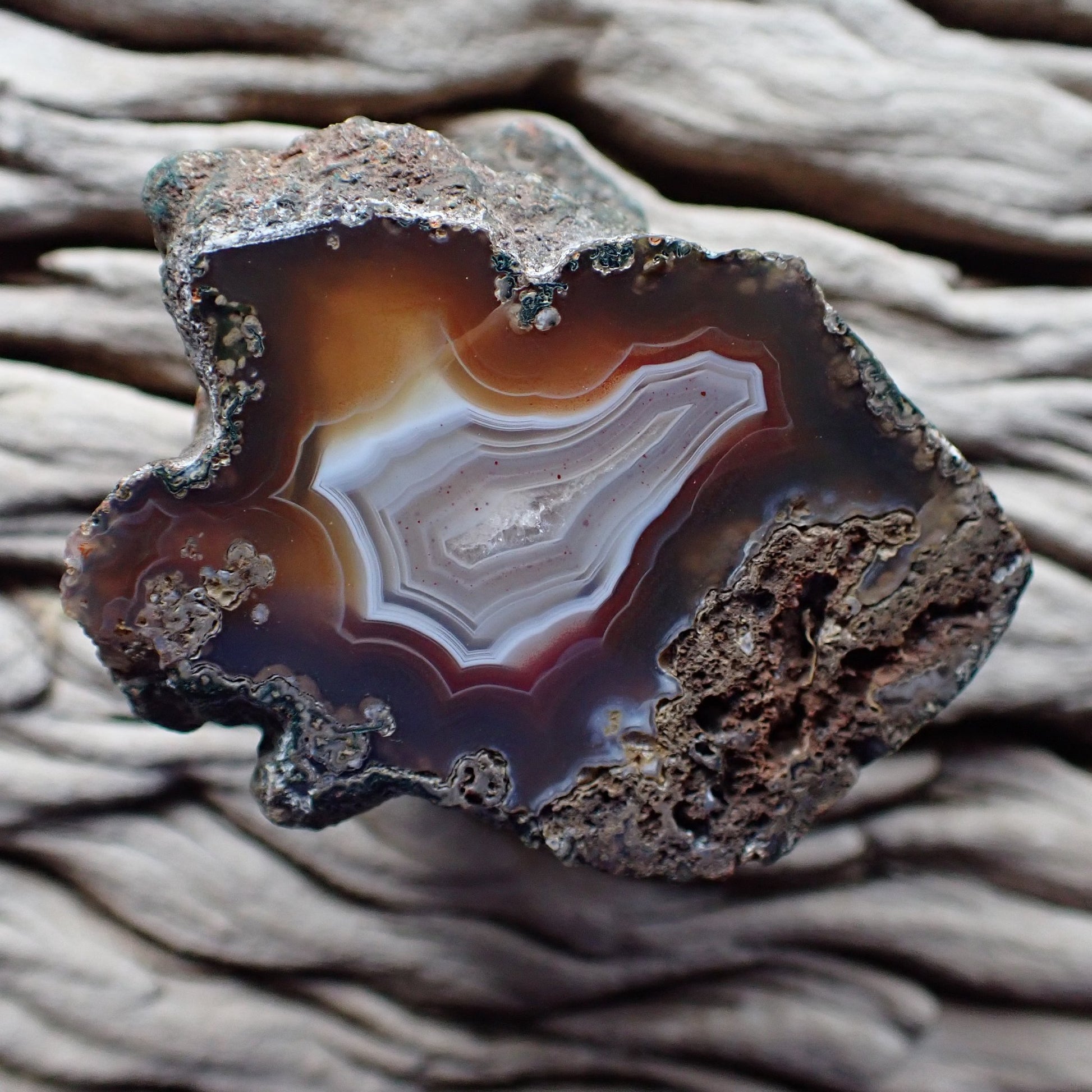 Natural hand-polished Malawi agate 55 mm – full specimen, amber-sard outer zone with scalloped fortification banding and near-black chalcedony border, Ngabu deposit | SKU 000347