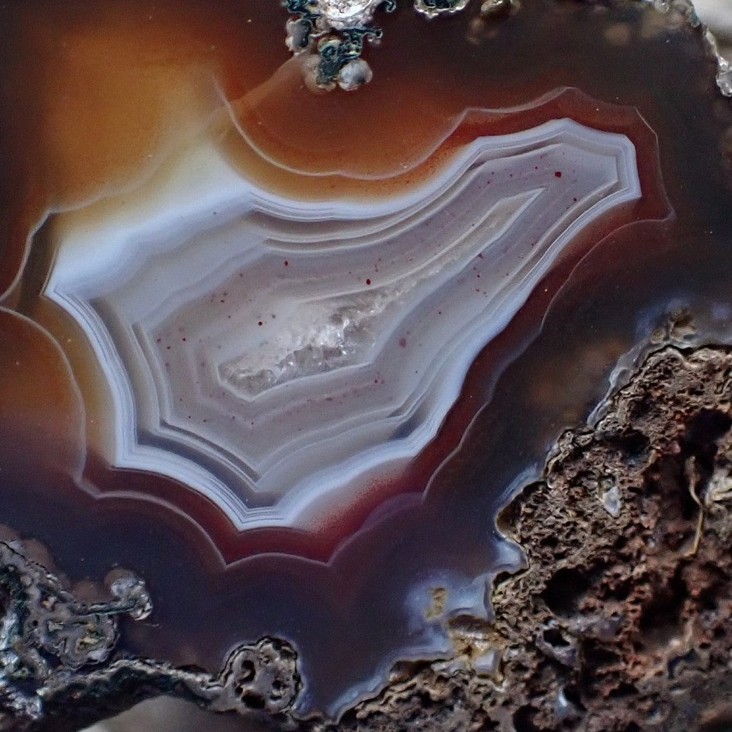 Close-up of Malawi agate 55 mm – scalloped fortification banding, amber-brown to sard-red outer zone, blue-grey to lavender inner banding and small crystalline centre | SKU 000347