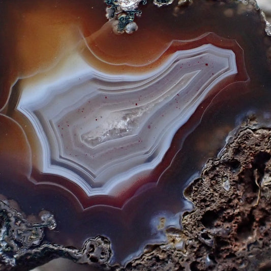 close-up of a Malawi agate with a lovely opaque red/brown outer band surrounding a white banded centre