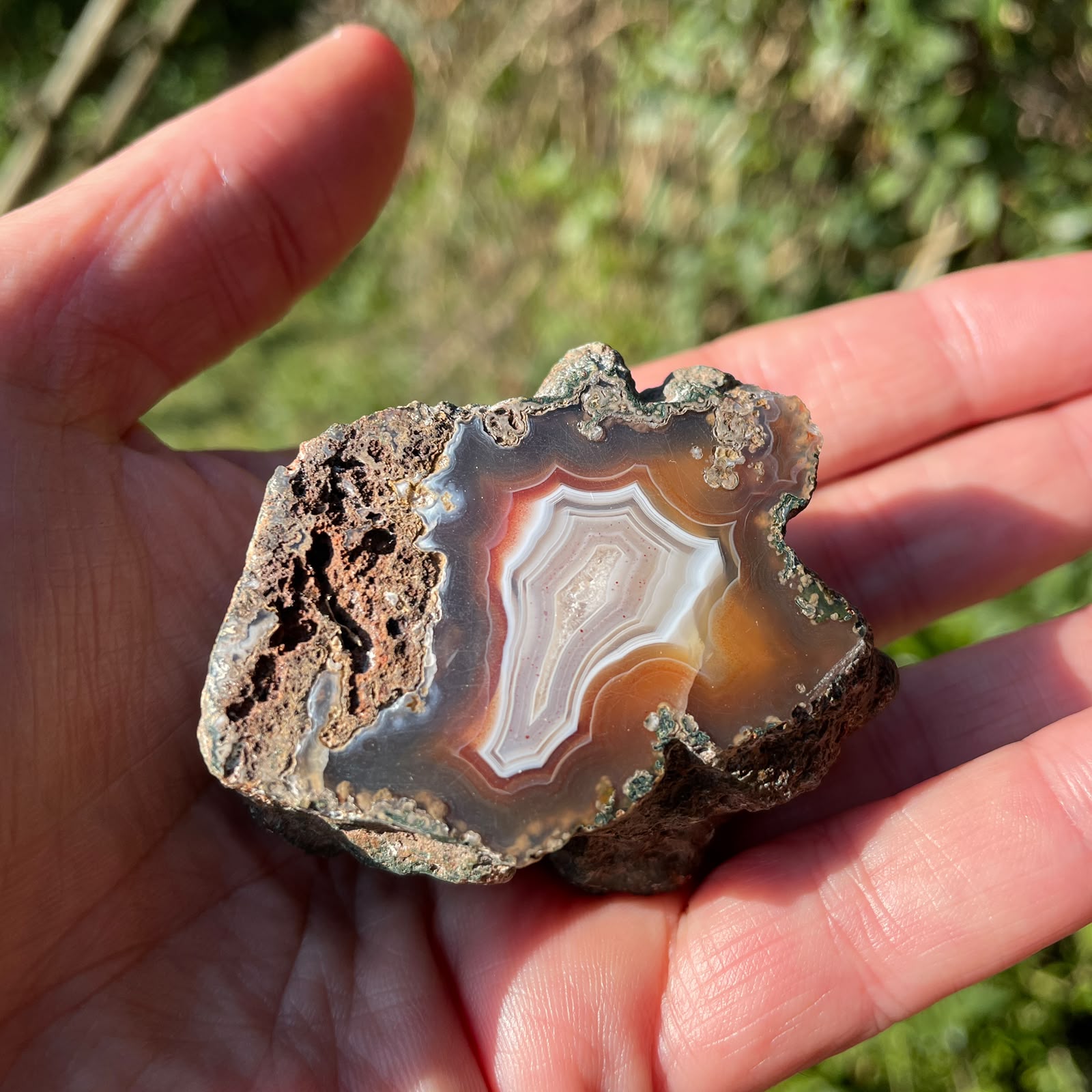 Fortification banding Malawi agate 55mm – in-hand size reference, amber-sard and blue-grey tones, fortification banding, ghost banding | SKU 000347