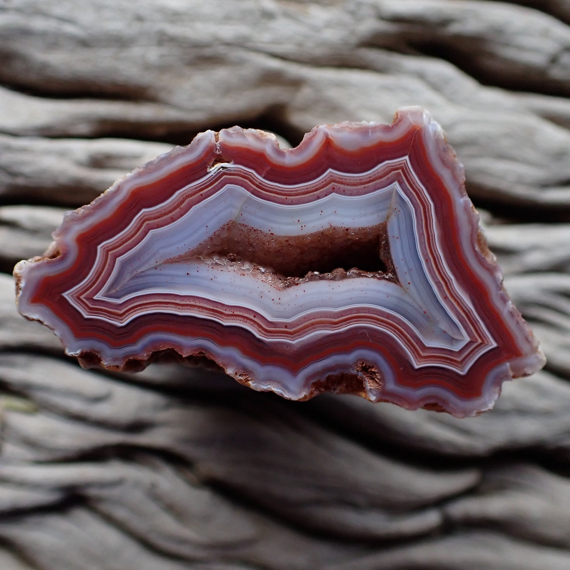 Polished Malawi agate from Ngabu region with bold red and almost purple patterning around a drusy centre