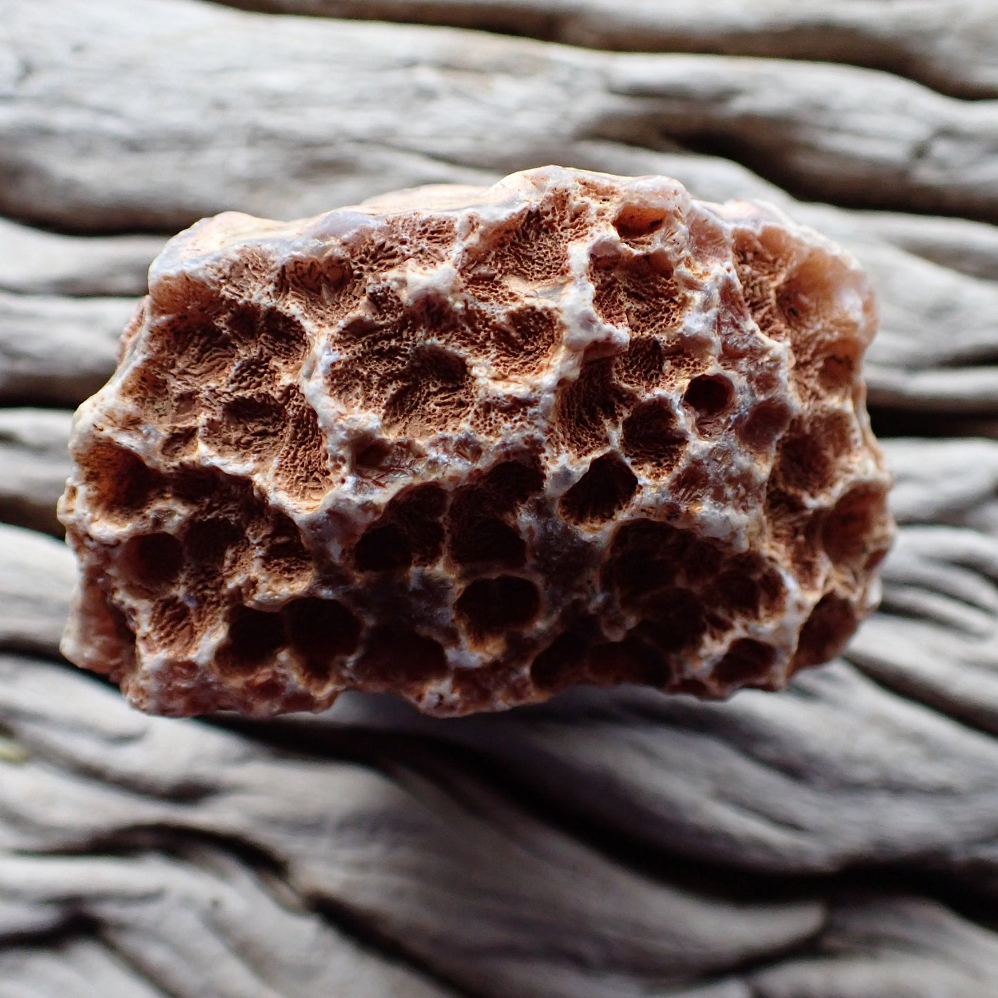 Unpolished rough side of Malawi agate showing natural texture