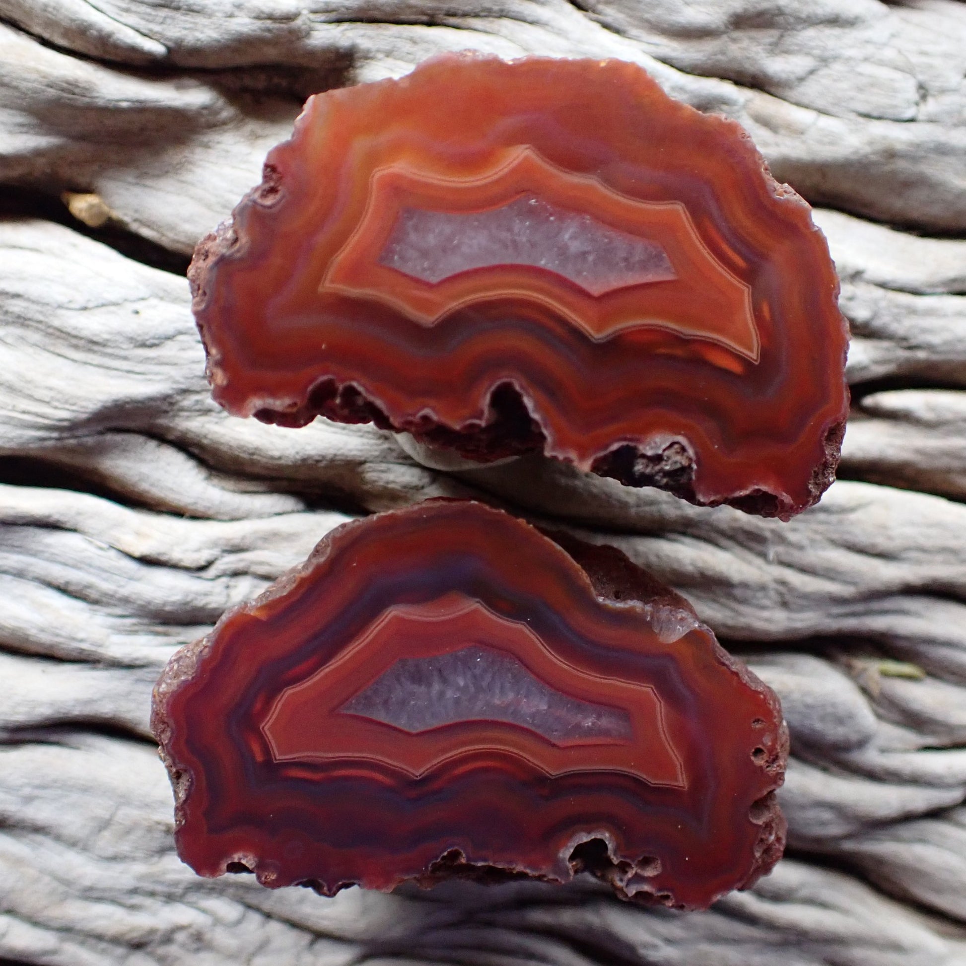 Natural hand-polished Malawi agate matched pair – 55 mm and 52 mm, sard-red to burgundy-purple banding with matched lavender-grey crystalline centres, Ngabu deposit | SKU 000349