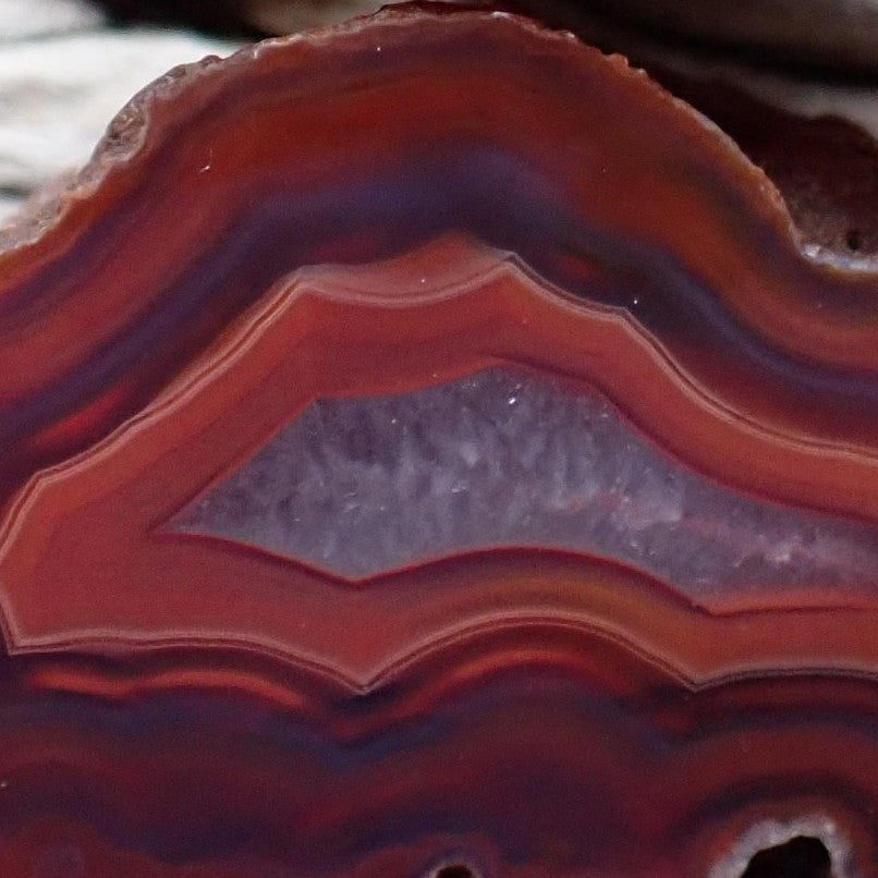 Close-up of Malawi agate – scalloped inner band edges, deep purple band, sard-burgundy colour zoning and lavender-grey micro-crystalline centre detail | SKU 000349
