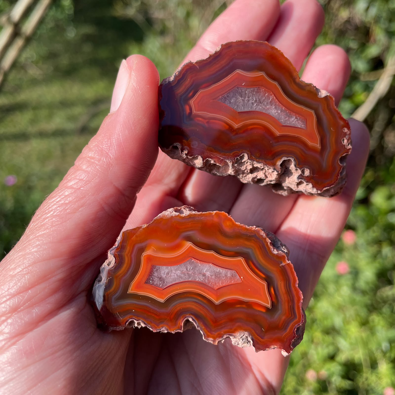 Fortification banding Malawi agate 55mm – in-hand size reference, amber-sard and blue-grey tones, fortification banding, ghost banding | SKU 000347
