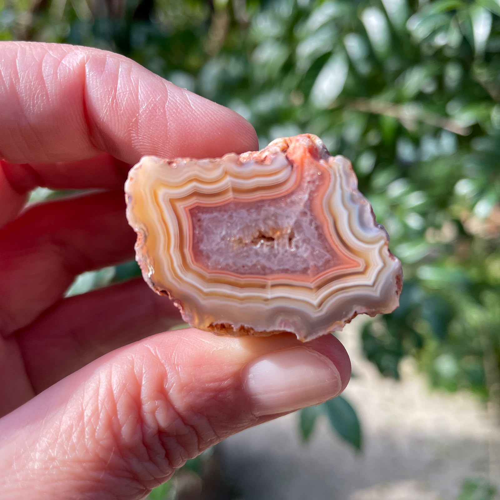 Parallax Malawi agate 38mm – in-hand size reference, cream and pale amber tones, parallax, fortification banding, flow channel and crystal vug | SKU 000352