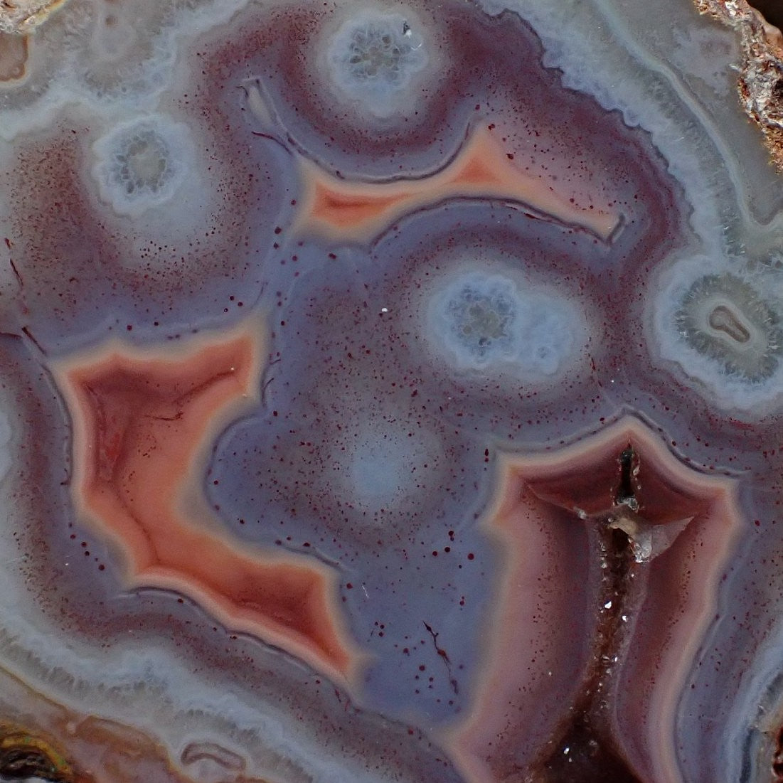 Close-up of Malawi agate 62 mm – multiple eye formations, star-burst sard-red floater with radiating points, teardrop eye with dark void, flow channel and fine mineral spotting detail | SKU 000356