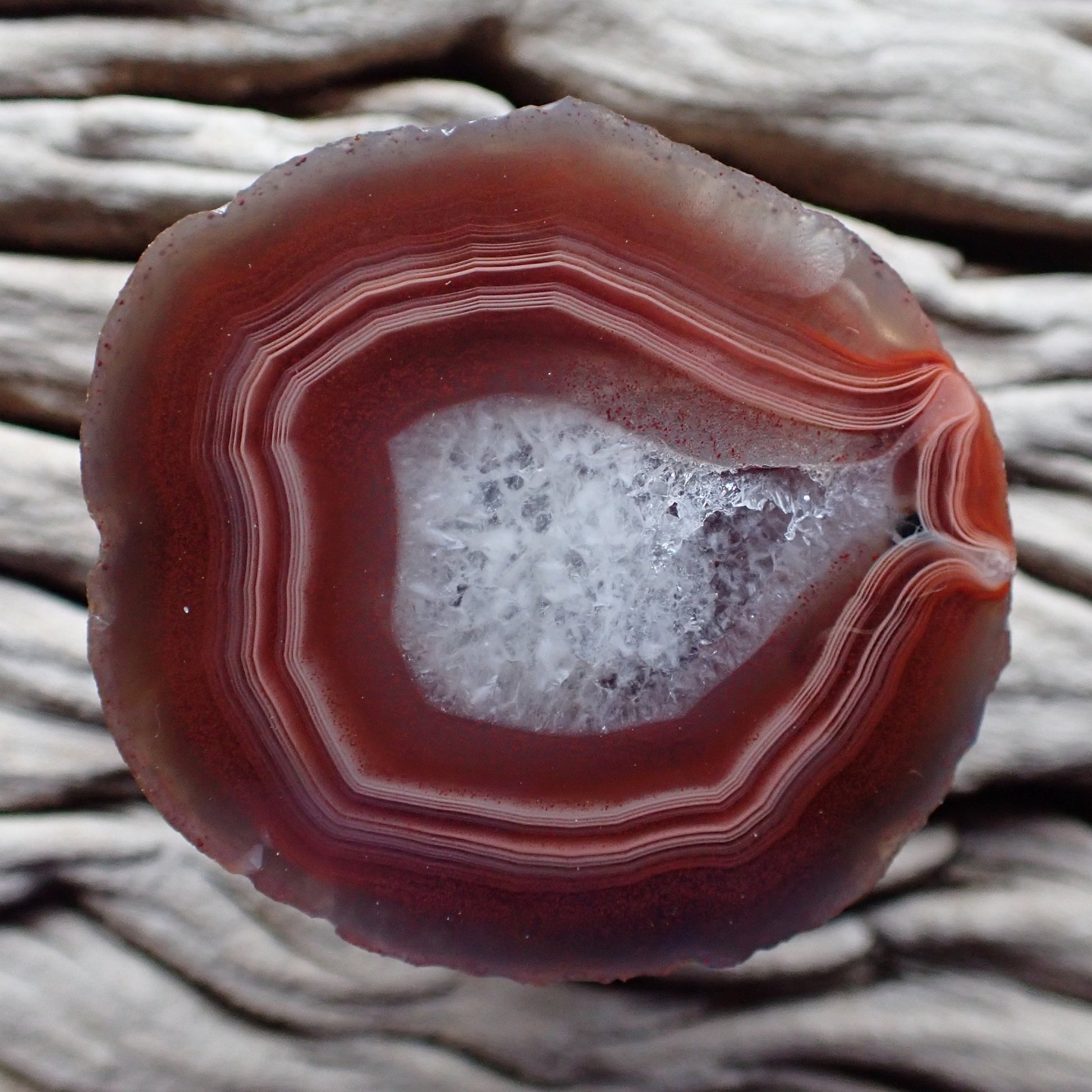 Natural hand-polished Malawi agate 45 mm – full specimen, sard-red to burgundy fortification banding with scalloped inner edge and solid crystalline quartz centre, Ngabu deposit | SKU 000357