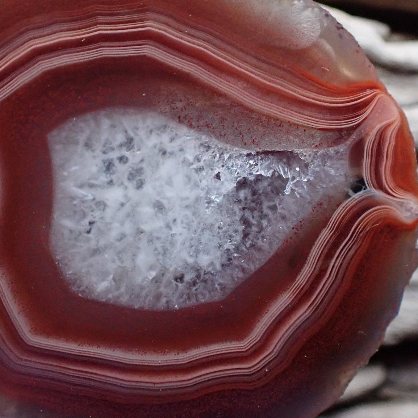 Close-up of Malawi agate 45 mm – scalloped inner band edges, solid crystalline quartz centre, flow channel and parallax effect in sard-burgundy banding | SKU 000357