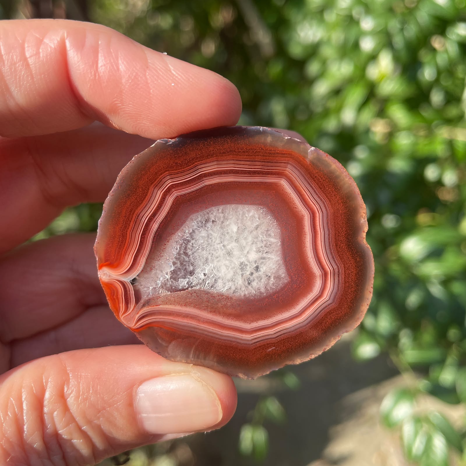 Parallax Malawi agate 45mm – in-hand size reference, sard-red & burgundy, fortification banding, flow channel, ghost banding, parallax | SKU 000357