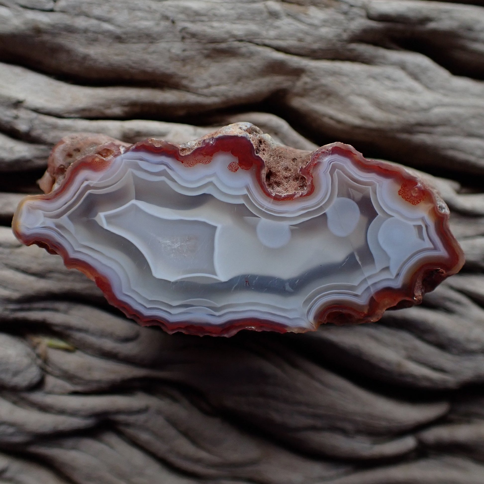 Natural hand-polished Malawi agate 58 mm – full specimen, scalloped ghost banding with circular chalcedony forms and bold sard-red upper zone, Ngabu deposit | SKU 000358