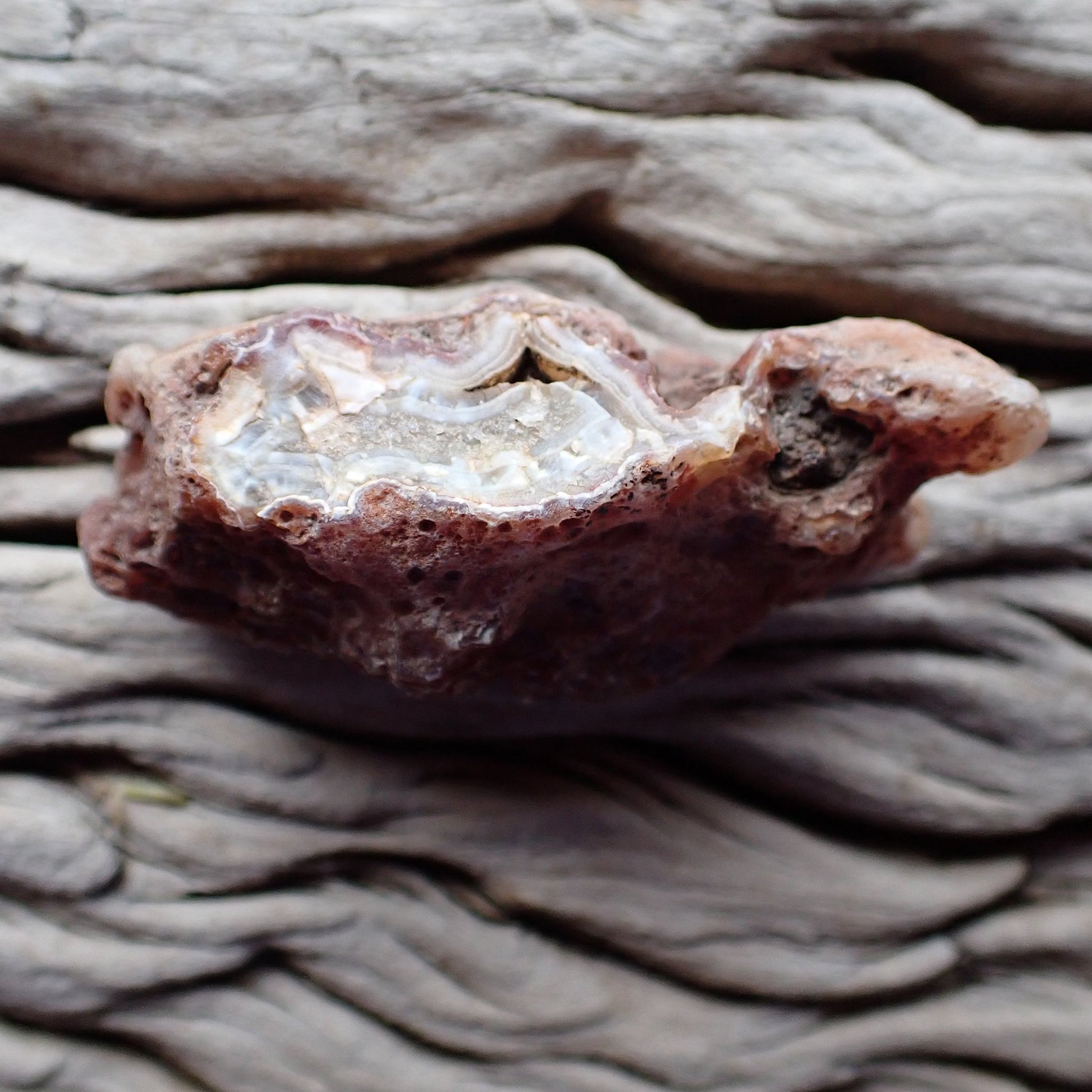 Back of Malawi agate 58 mm – natural rind with rough upper edge exposed, Ngabu deposit, hand-polished in South Africa | SKU 000358