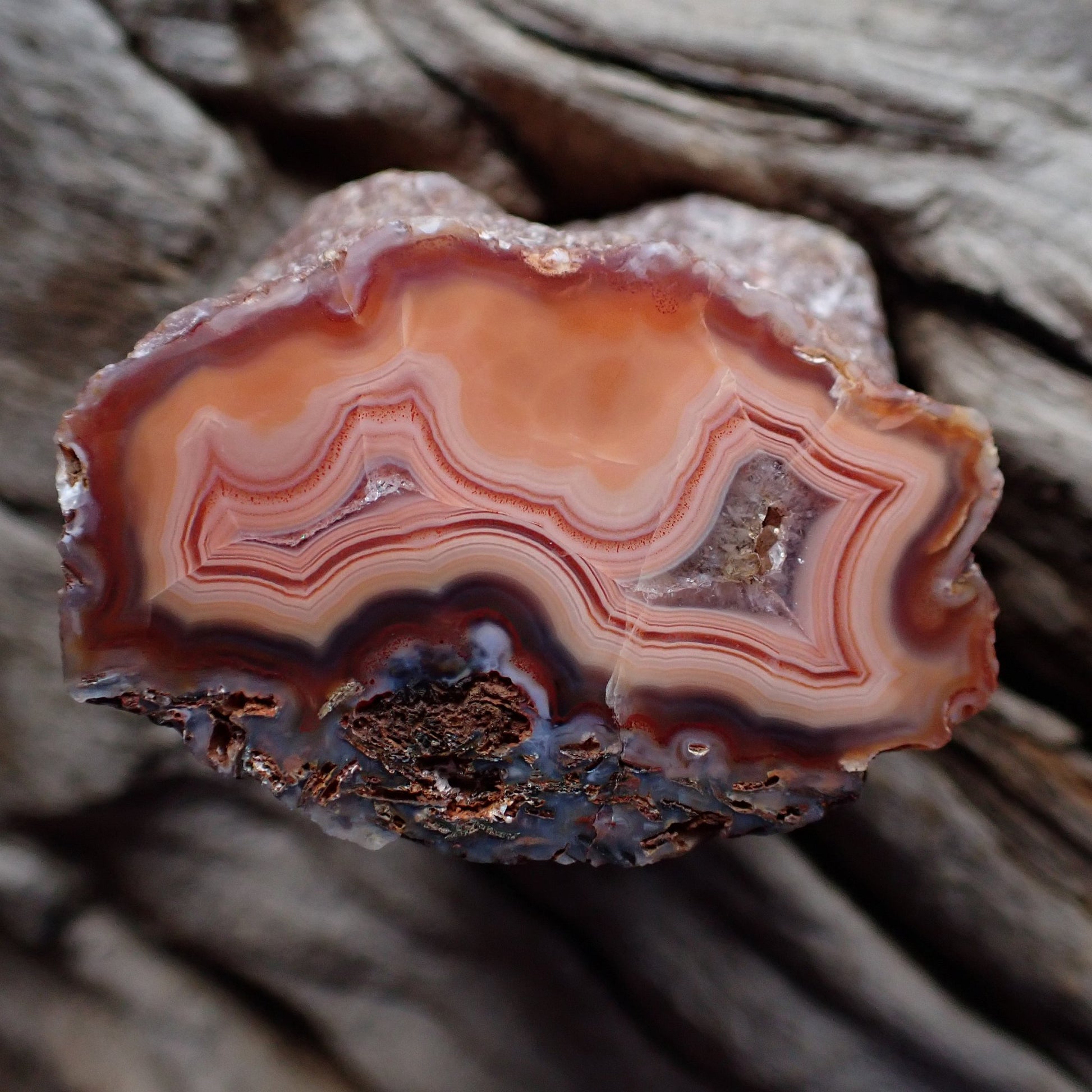 Natural hand-polished Malawi agate 35 mm – full specimen, wavy sard-red banding framing salmon-pink to carnelian-orange inner zone with near-black lower band, Ngabu deposit | SKU 000359