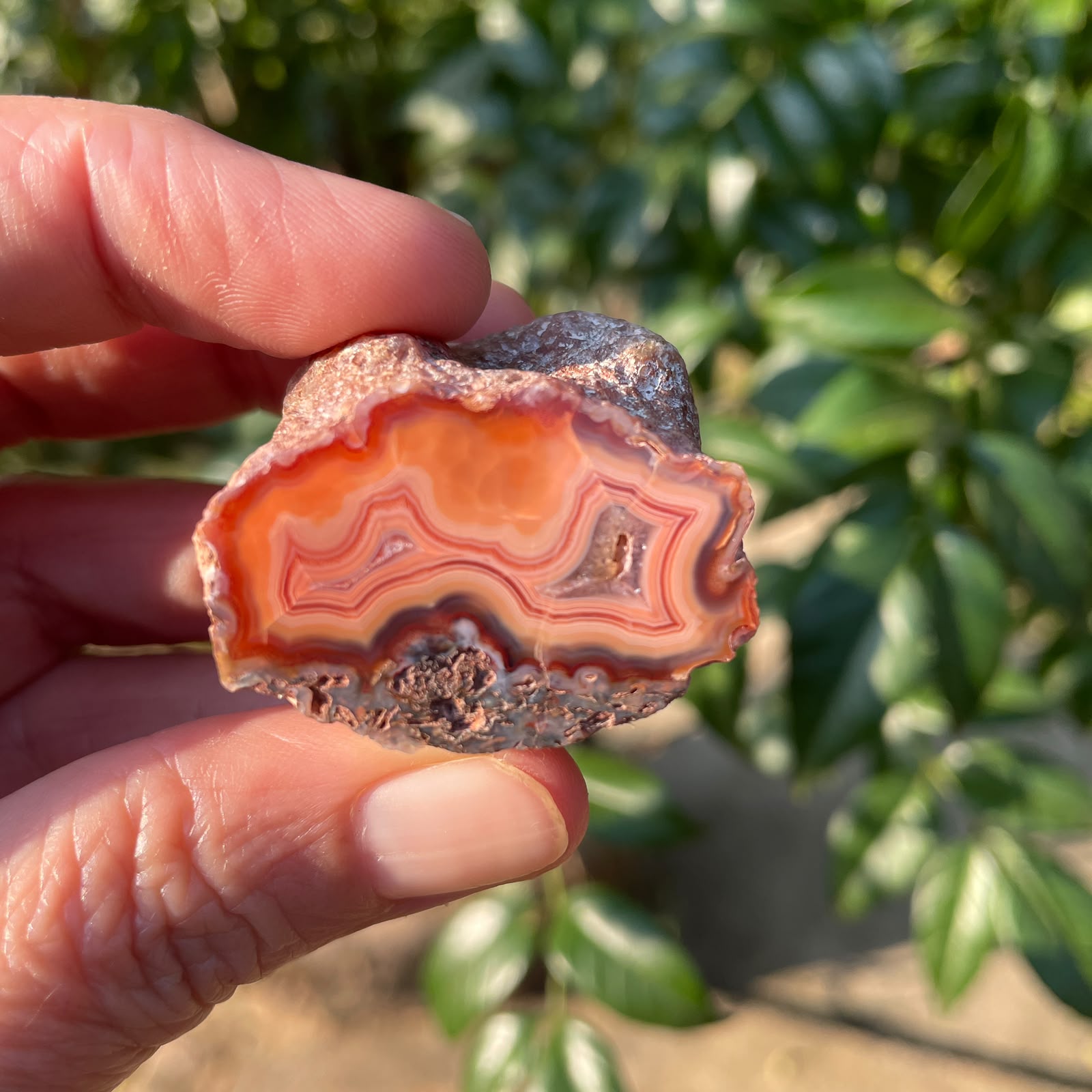 Natural hand-polished Malawi agate 35 mm – in-hand view, vivid sard-carnelian banding with fortification pattern and rough rind, direct-sourced Ngabu deposit | SKU 000359
