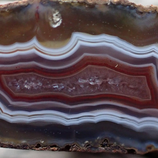 Close-up of Malawi agate 34 mm – symmetrical wavy fortification banding, sard-red to burgundy inner band framing smooth lavender-grey chalcedony centre, near-black outer border | SKU 000360