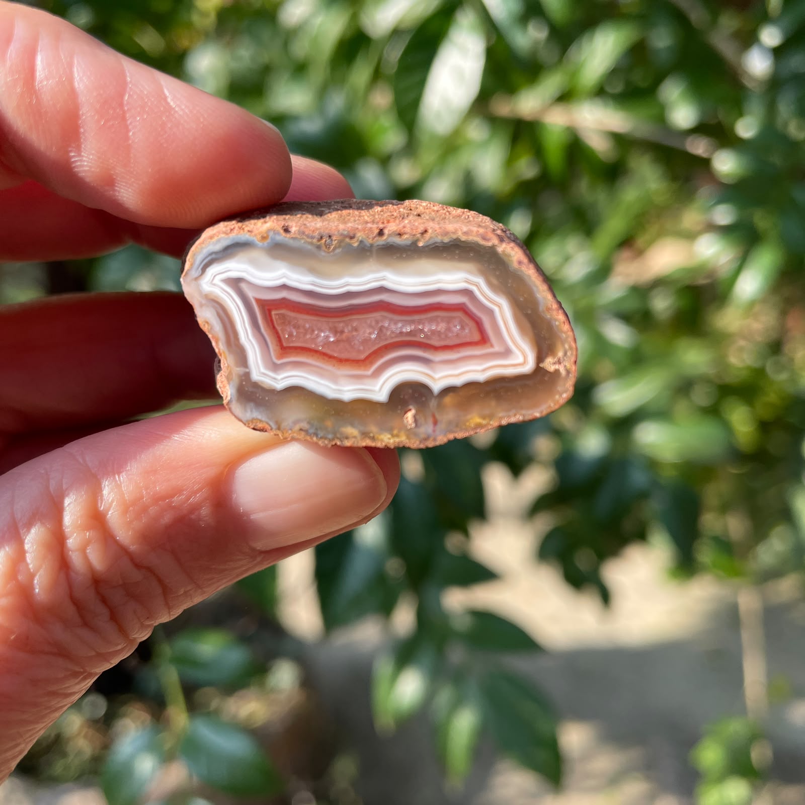 In-hand Malawi agate 34 mm – symmetrical wavy banding, sard-red inner zone with lavender-grey chalcedony centre, natural rough rind, Ngabu deposit, hand-polished in South Africa | SKU 000360