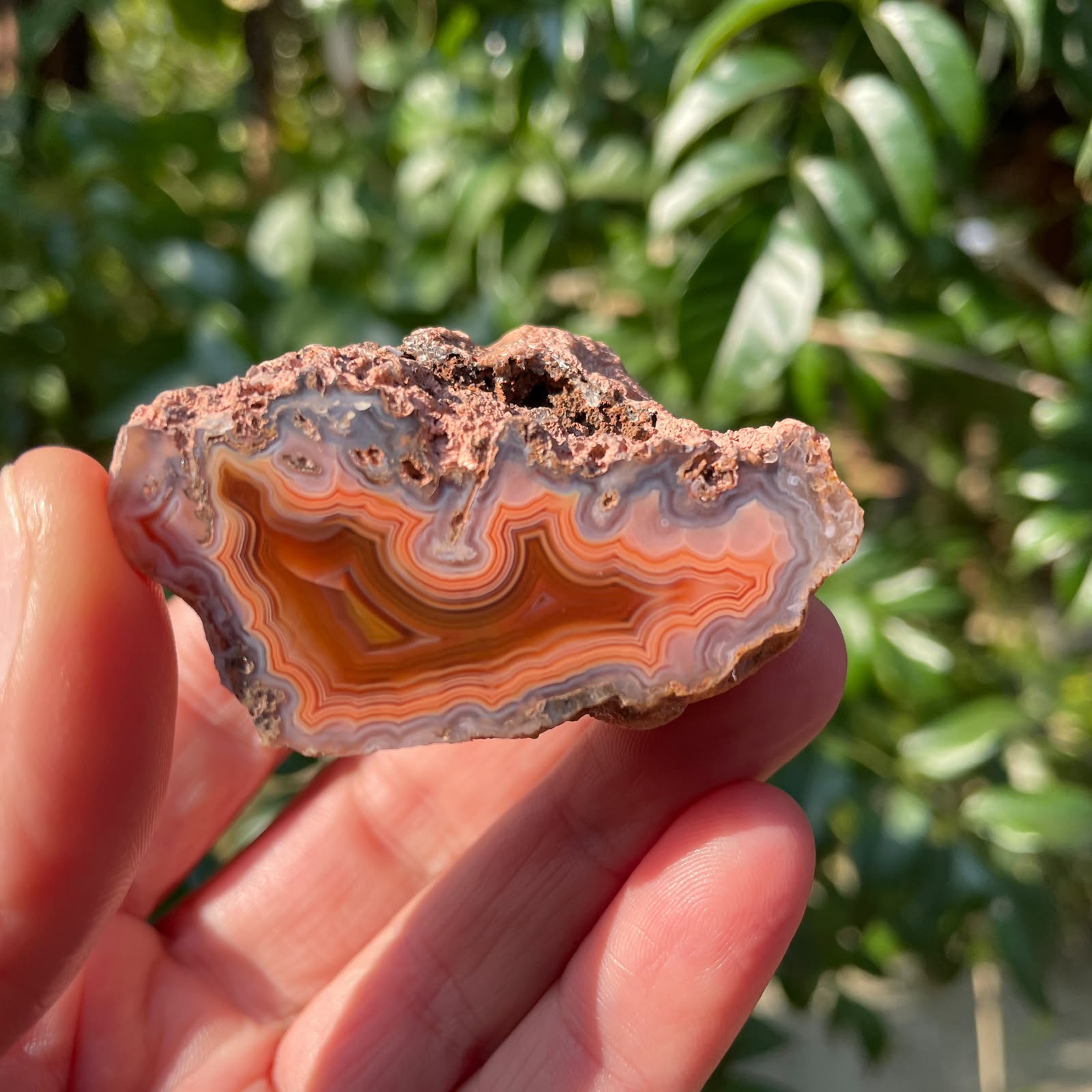 In-hand Malawi agate 53 mm – crazy lace banding with sweeping sard-carnelian and blue-grey chalcedony arcs, natural nodule silhouette, Ngabu deposit, hand-polished in South Africa | SKU 000363