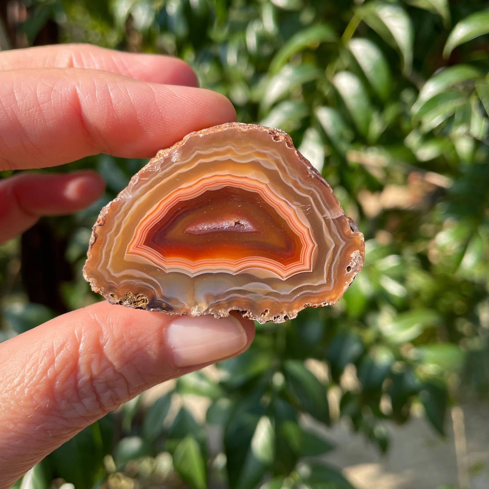 In-hand Malawi agate 47 mm – dome-shaped semi-circular banding, scalloped inner band edges, sard-red to deep burgundy inner zone, Ngabu deposit, hand-polished in South Africa | SKU 000366