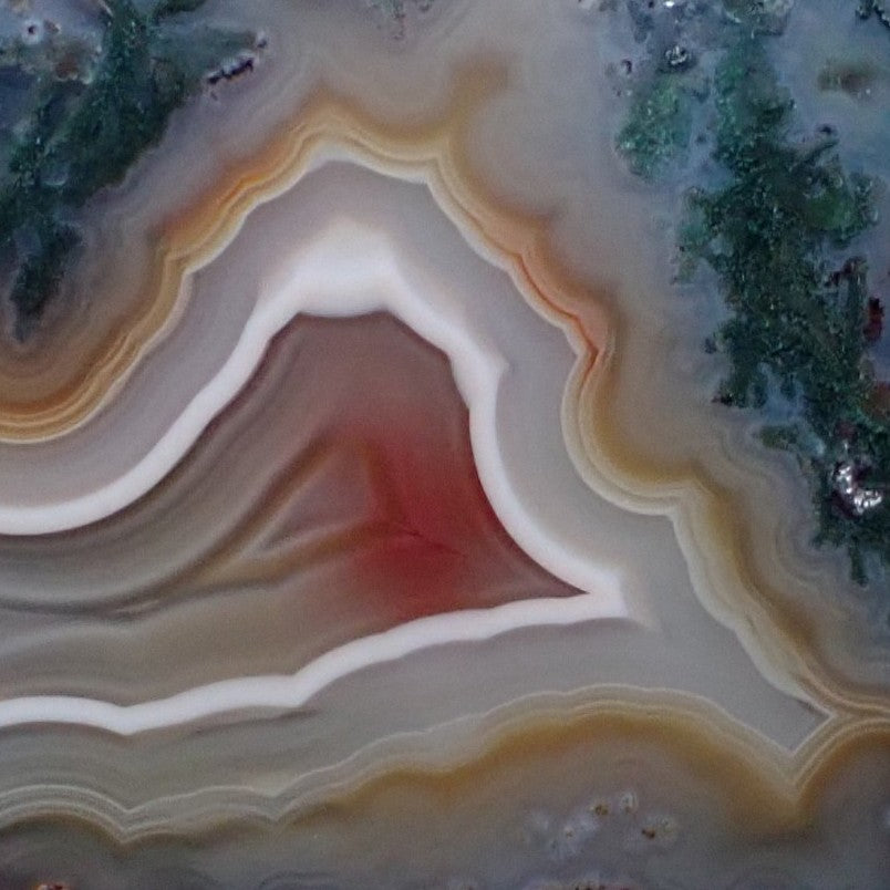 Close-up of Malawi agate 48 mm – dense teal-green moss inclusions upper face, honey-amber fortification banding with scalloped inner edges, sard-red to near-crimson inner zone and white chalcedony arch | SKU 000369