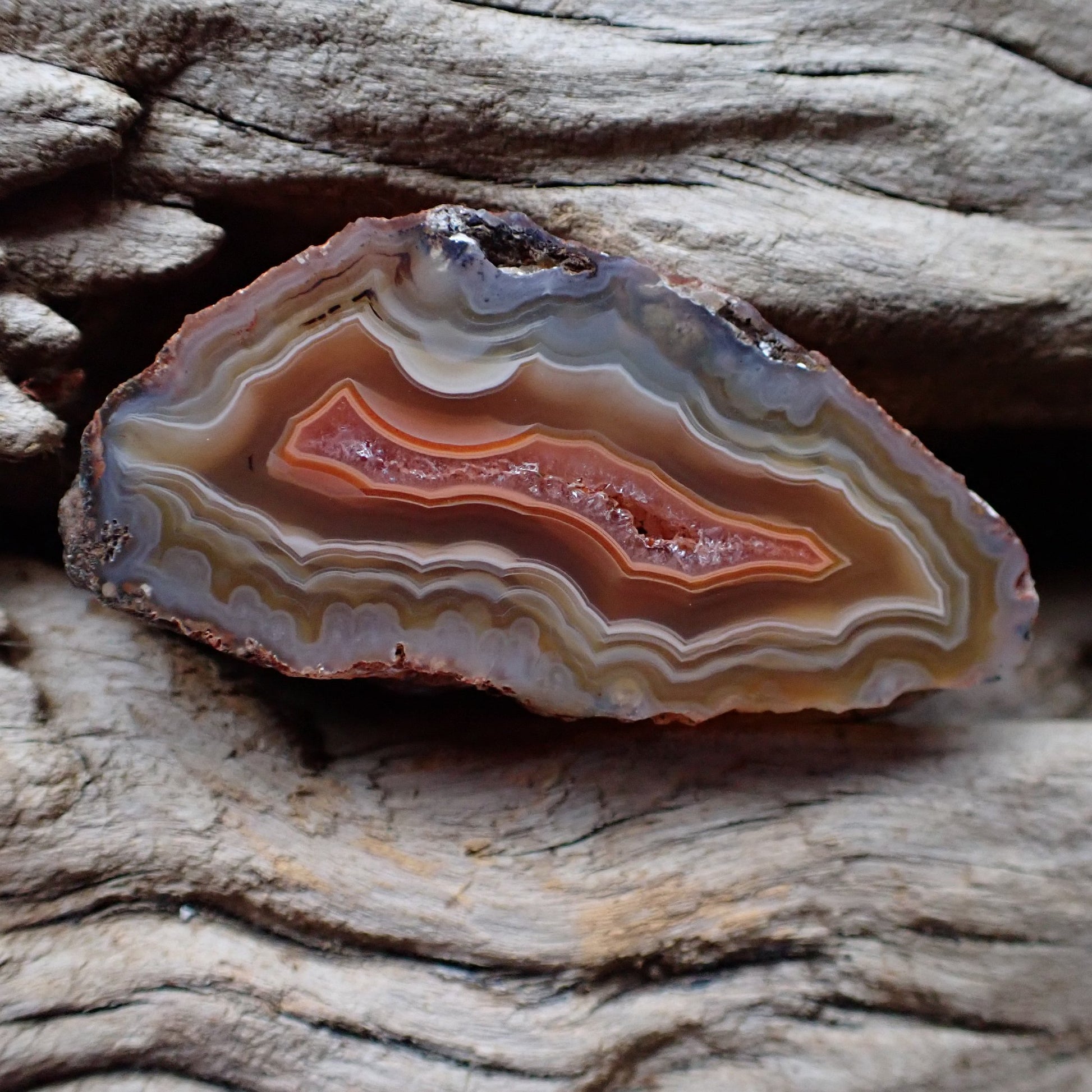 Natural hand-polished Malawi agate 46 mm – full specimen, elongated druzy quartz inner zone, wavy sard-brown fortification banding and blue-grey chalcedony upper zone, Ngabu deposit | SKU 000370