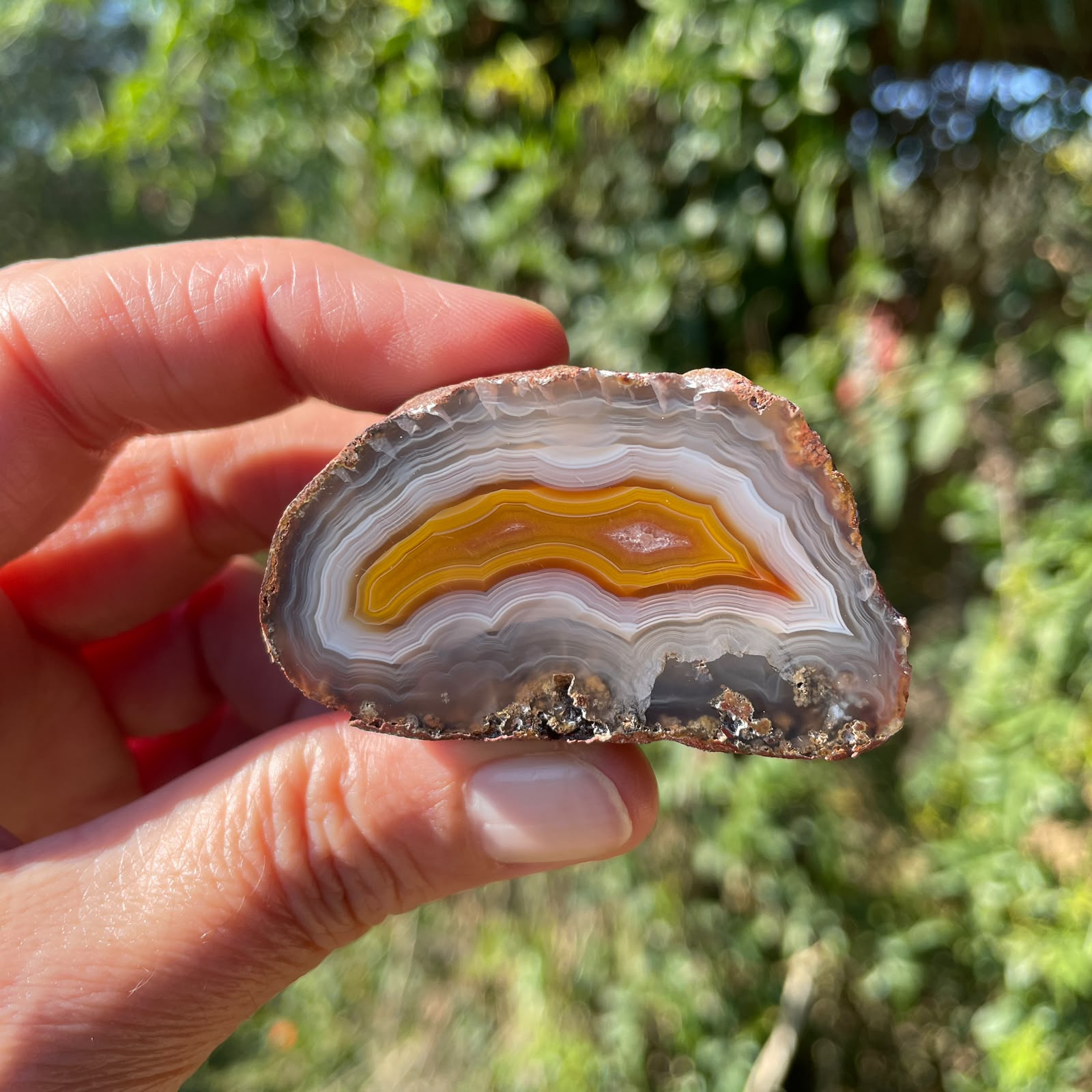 golden-amber Malawi agate 51 mm – in-hand view, parallax, ghost banding, fortification banding, natural inclusion, natural sunlight | SKU 000371