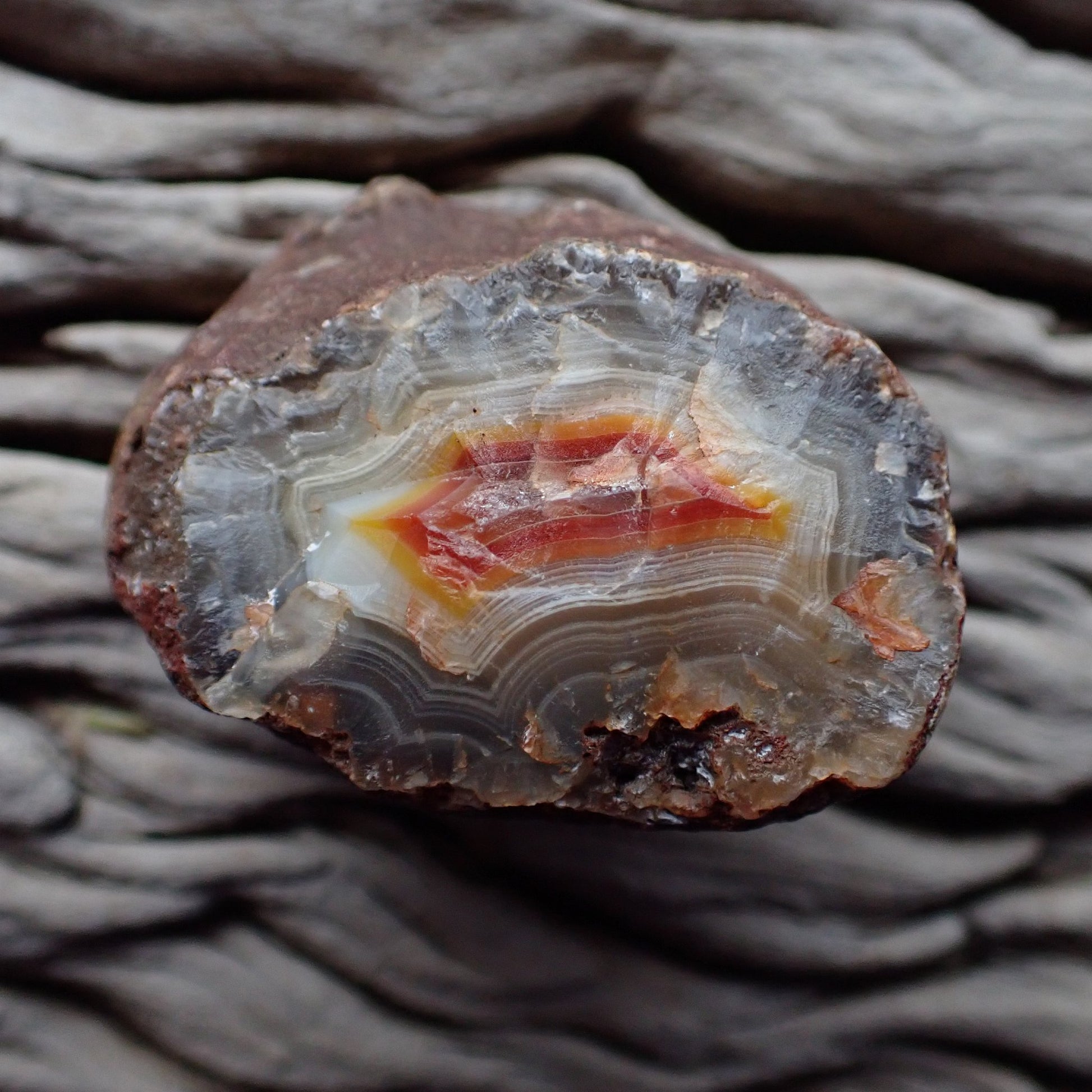 Unpolished back face of Malawi agate 51 mm – raw interior structure revealing vivid colour depth, Ngabu deposit, hand-polished in South Africa | SKU 000371
