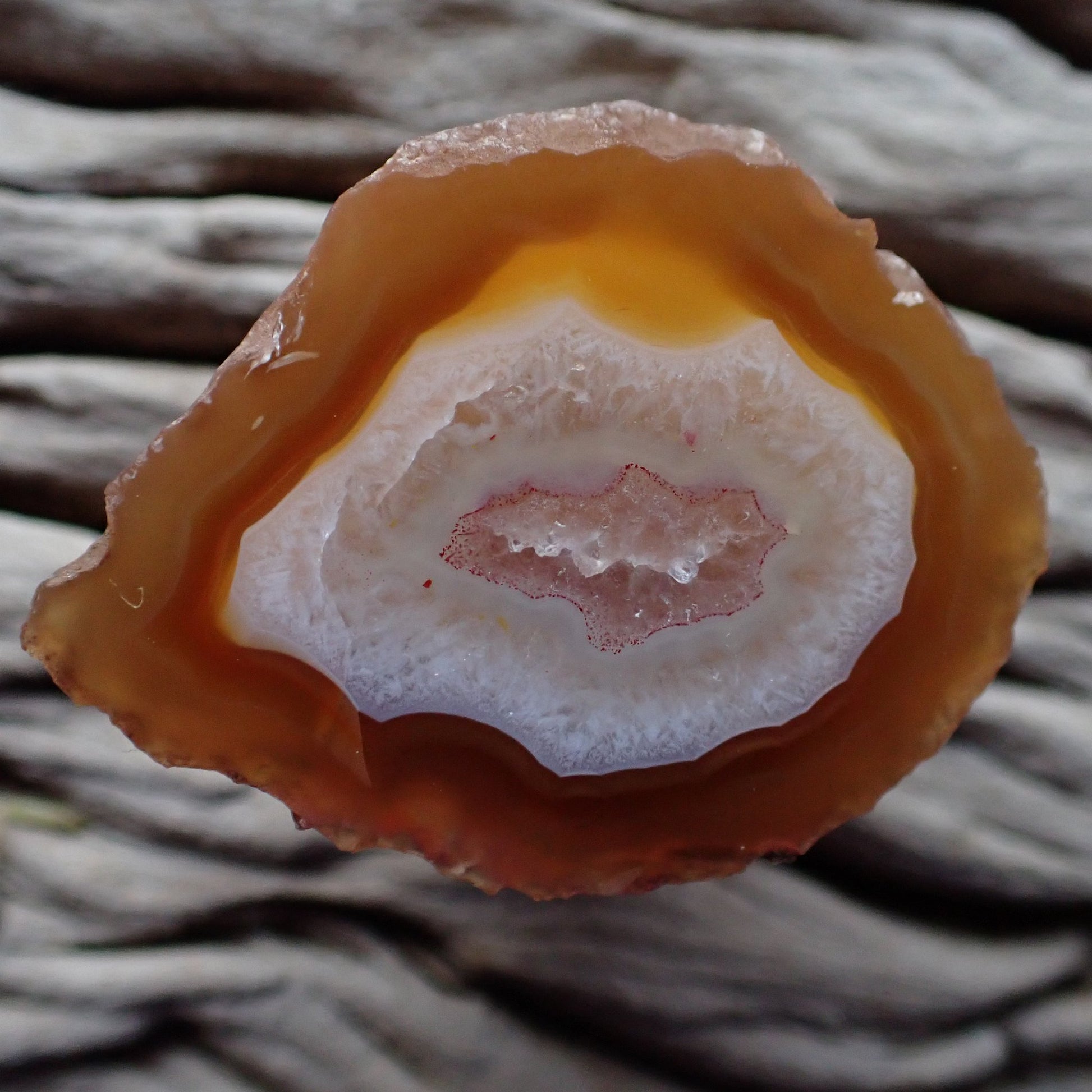 Natural hand-polished Malawi agate 43 mm – full specimen face, druzy quartz inner zone with secondary chalcedony zone, carnelian-orange and golden-yellow fortification banding, Ngabu deposit | SKU 000372