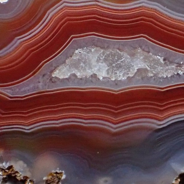 Close-up of Malawi agate 51 mm – razor-fine sard-red and white fortification banding detail, quartz inner zone with calcite deposit and flow channel at left margin | SKU 000373