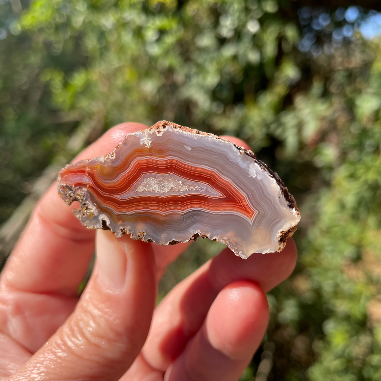 sard-red Malawi agate 51 mm – in-hand view, flow channel, fine fortification banding, quartz inner zone with calcite deposit, ghost banding, natural sunlight | SKU 000373