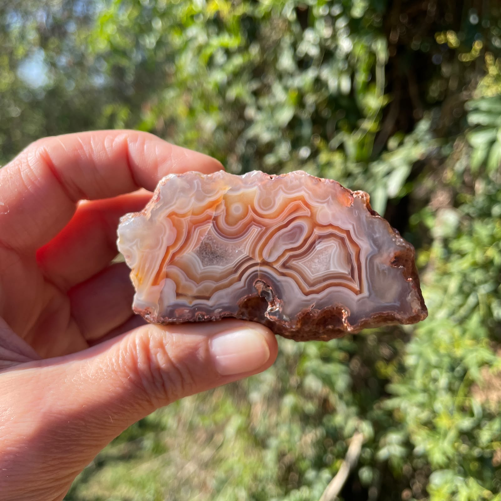 sard-carnelian Malawi agate 80 mm – in-hand view, crazy lace banding, eye, natural sunlight | SKU 000374