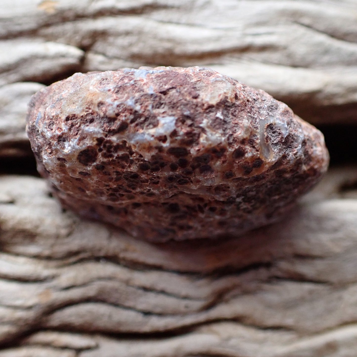 Unpolished rough side of Malawi agate showing natural texture