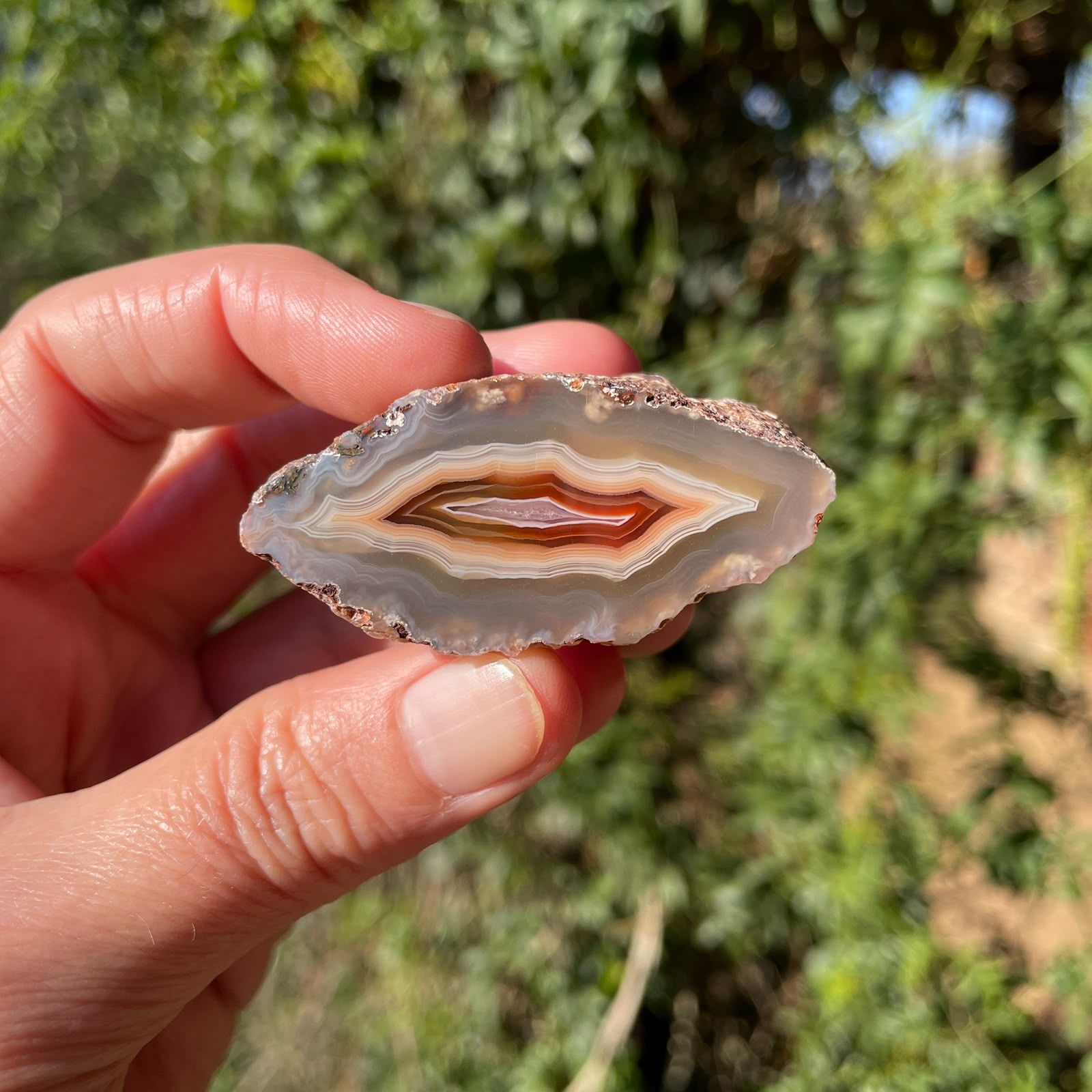 blue-grey Malawi agate 53 mm – in-hand view, scalloped banding, ghost banding, natural sunlight | SKU 000377